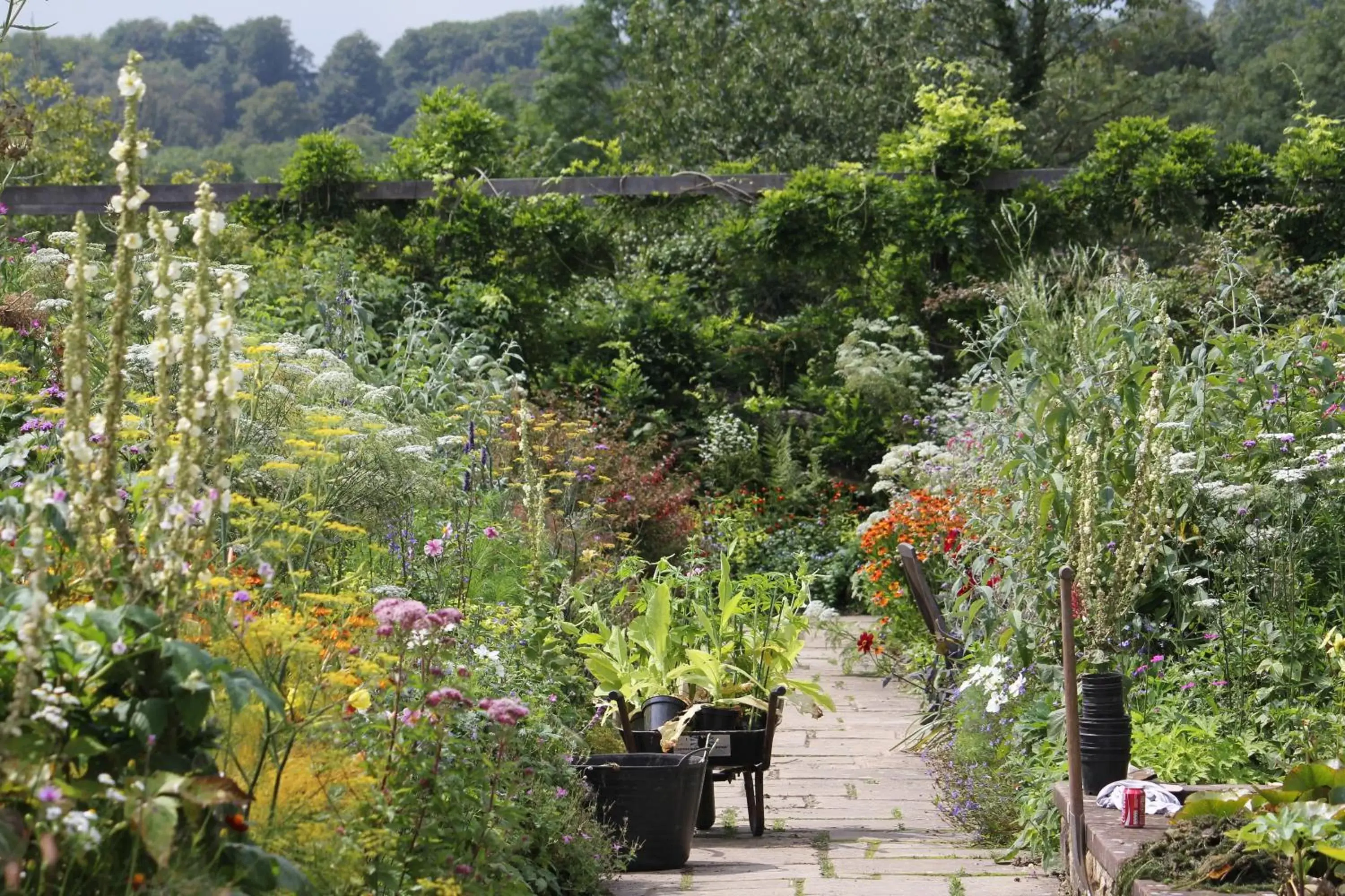 Garden in Gravetye Manor