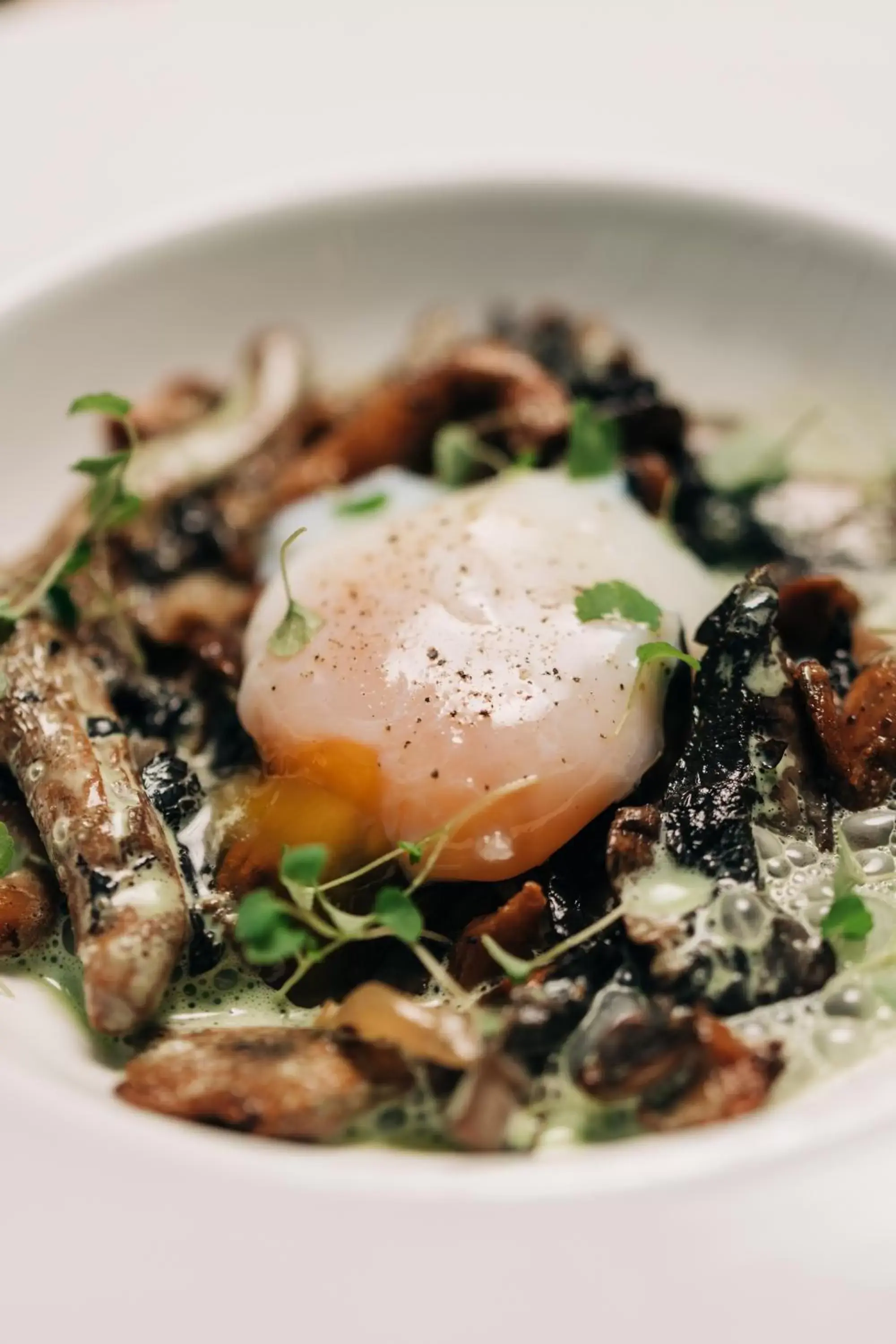 Restaurant/places to eat in Mercure Pont d’Avignon Centre Restaurant/places to eat in Mercure Pont d’Avignon Centre