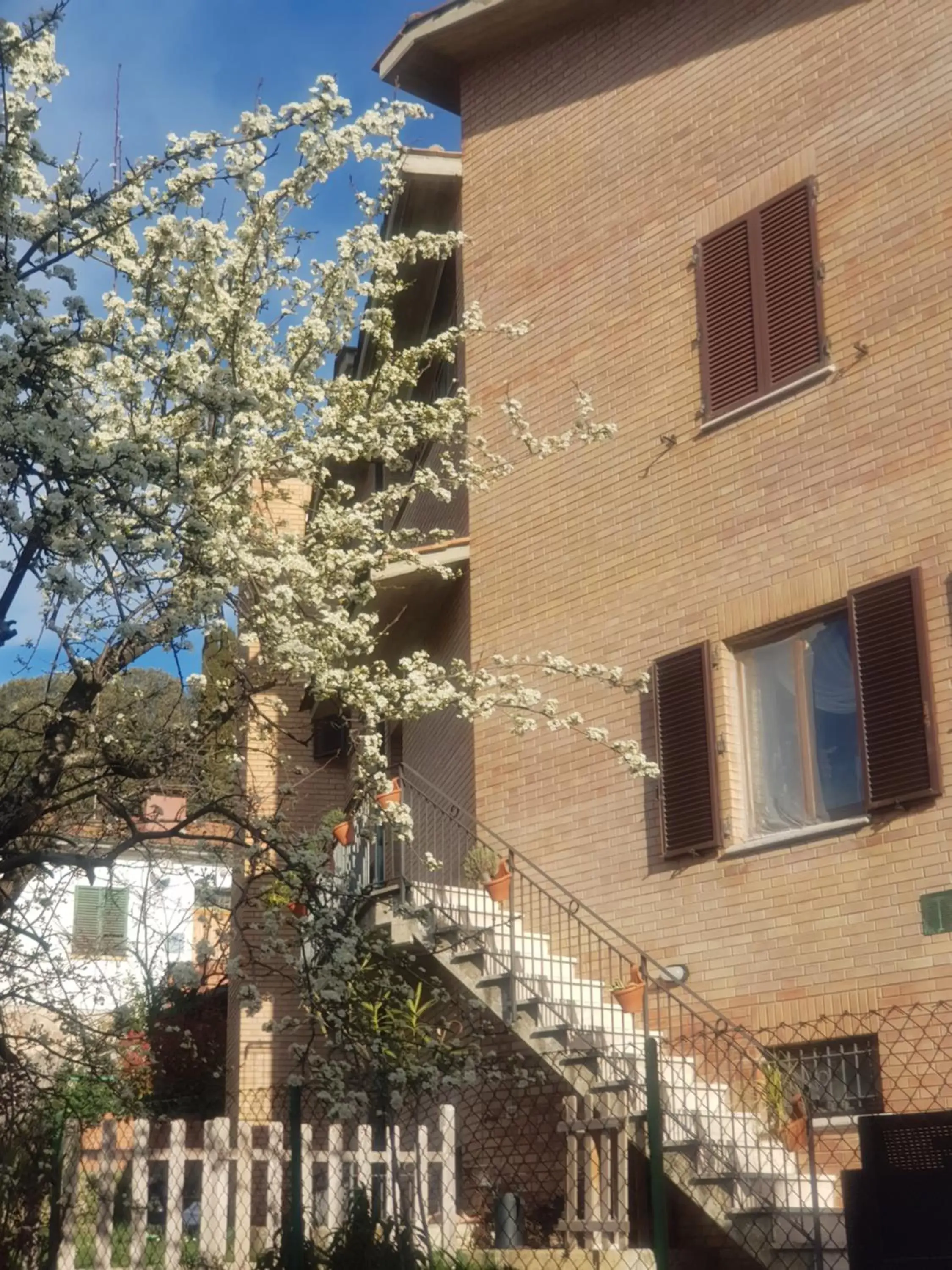 Property Building in Palazzetto del Pittore