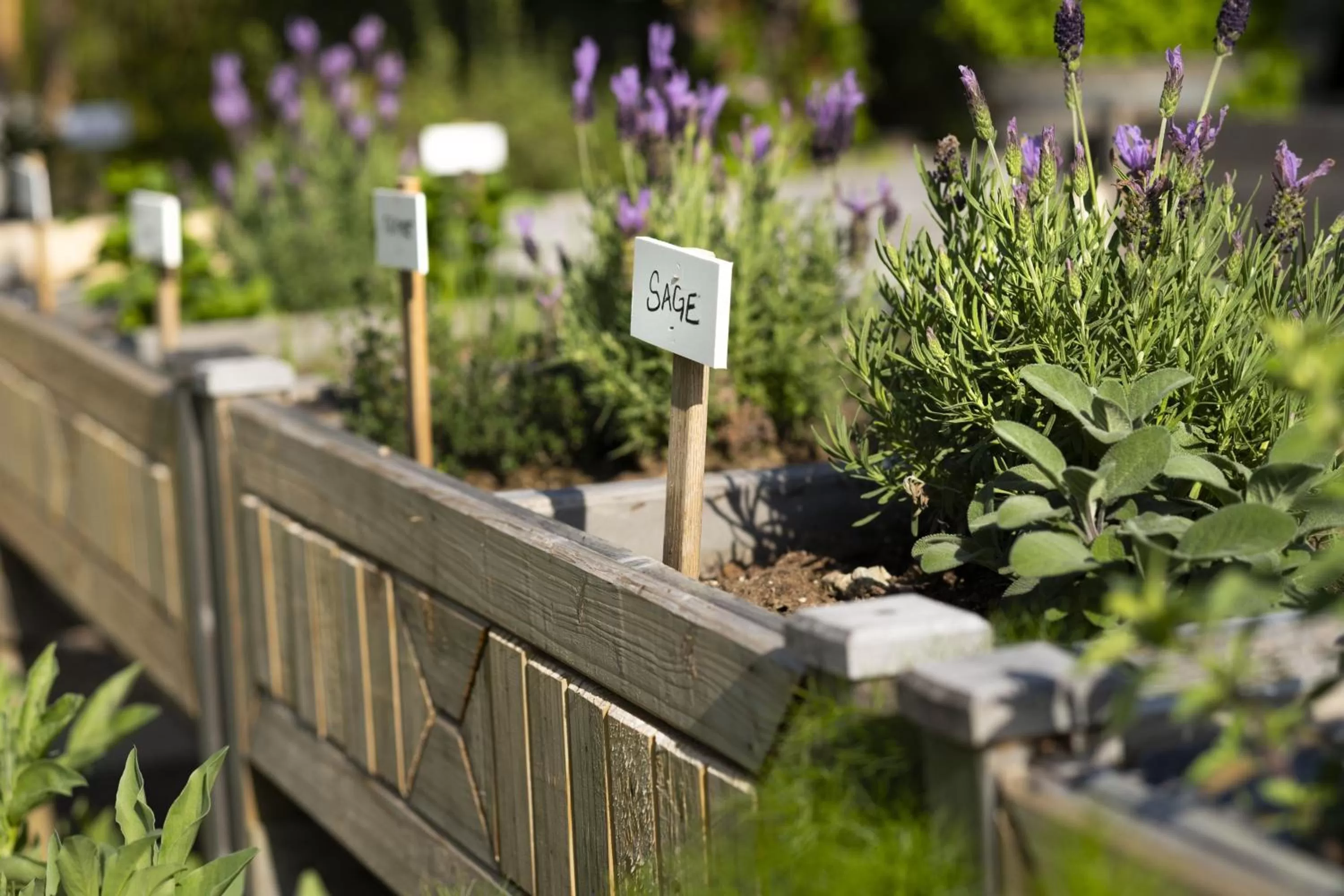 Other in Torrance Marriott Redondo Beach