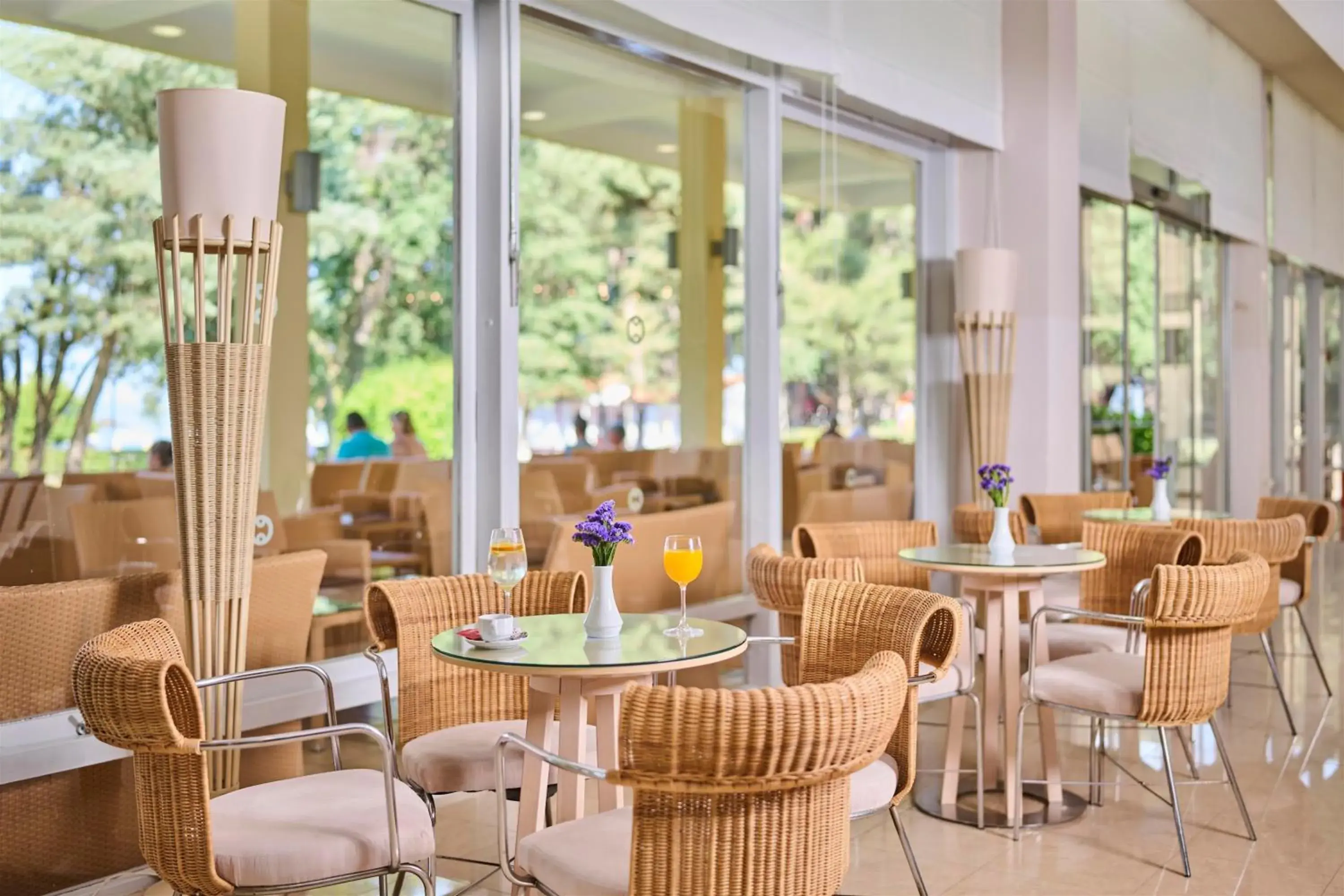 Lounge or bar, Restaurant/Places to Eat in Hotel Aurora Plava Laguna