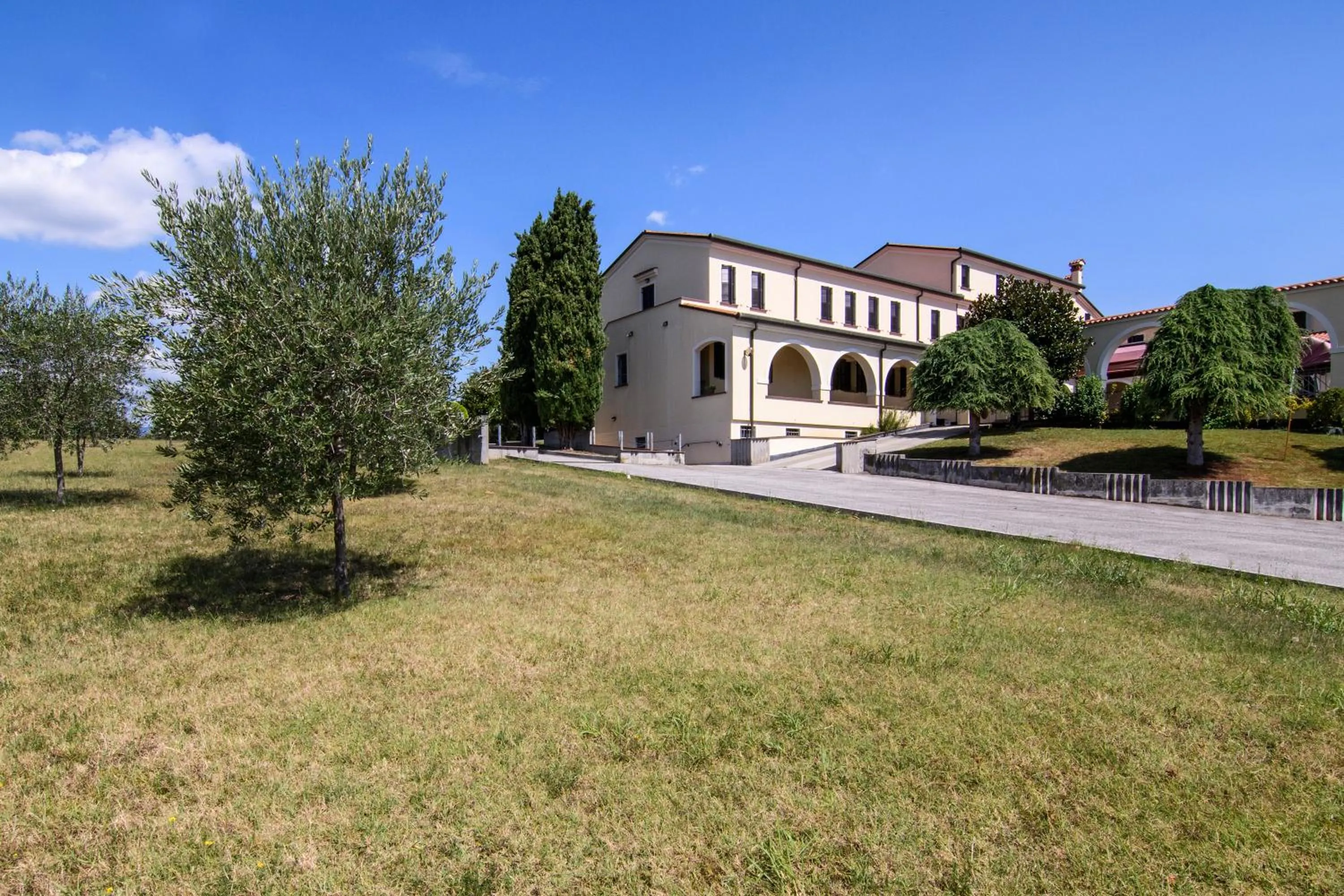 Garden in Hotel San Marco