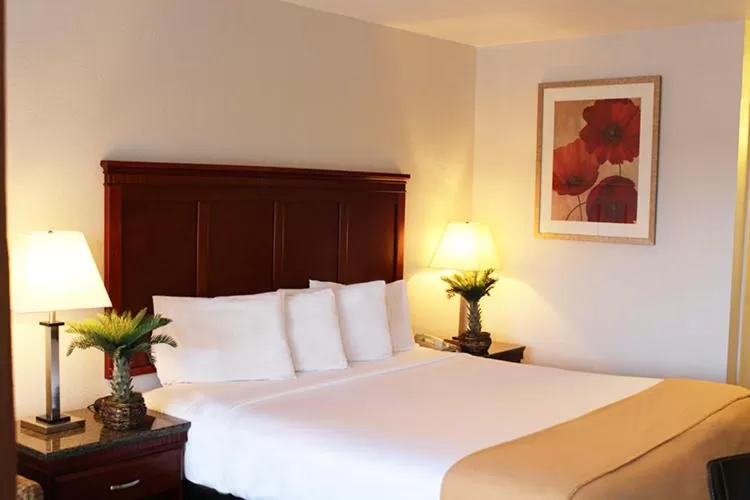 Photo of the whole room, Bed in Rodeway Inn Santa Clara El Camino Real