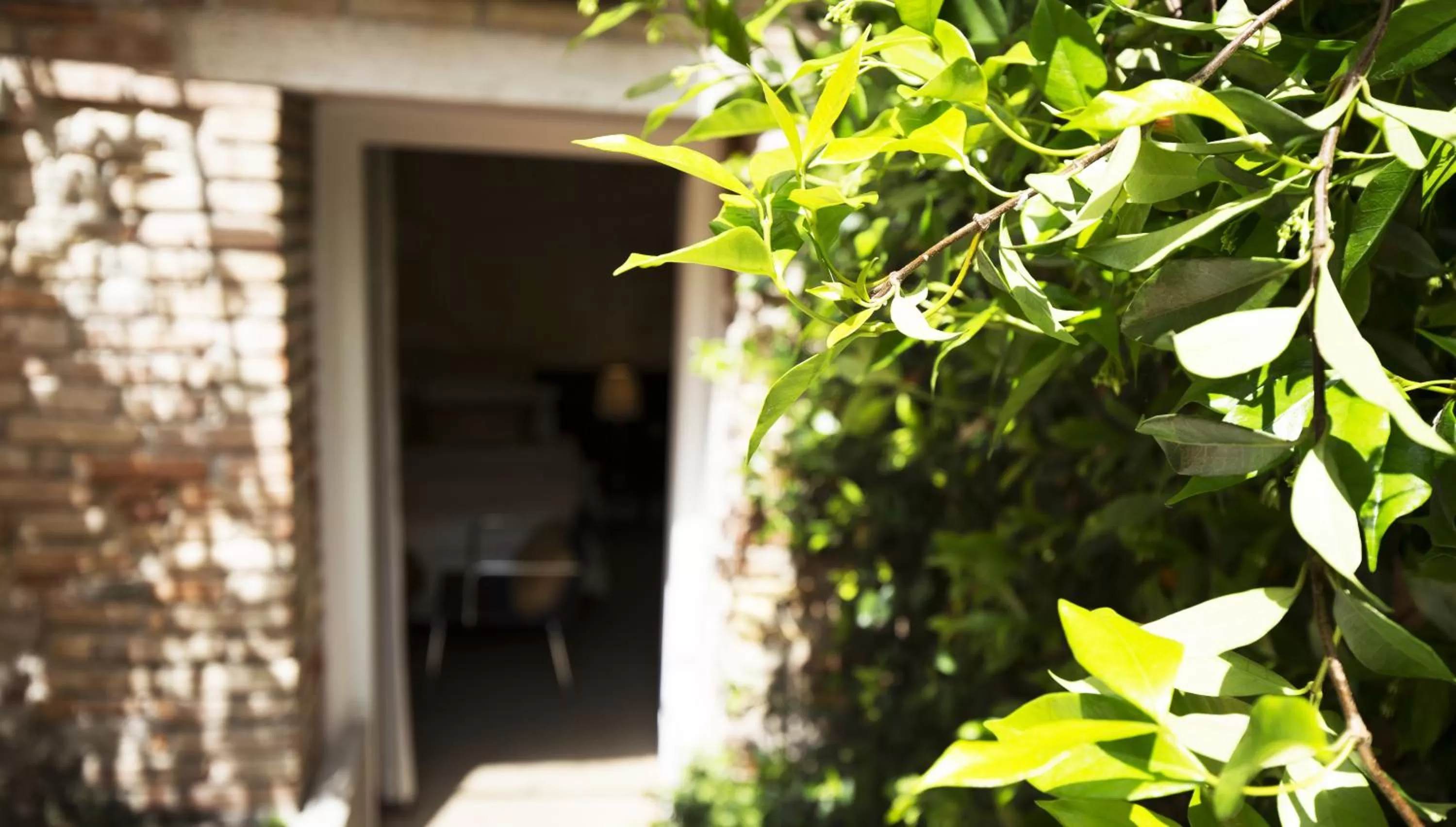 Garden in Avogaria 5 Rooms