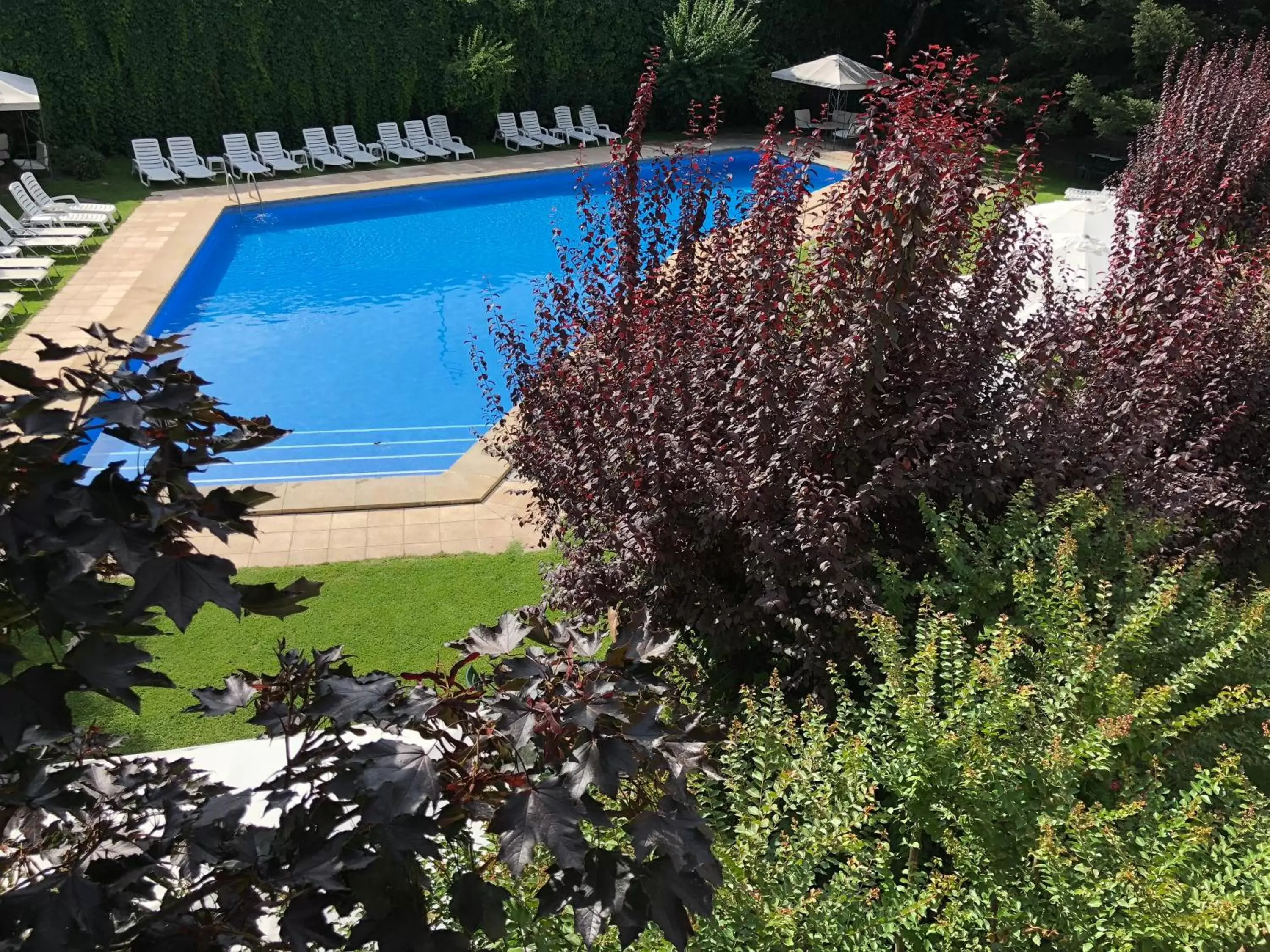 Garden, Pool View in Hotel Restaurant Pessets & SPA