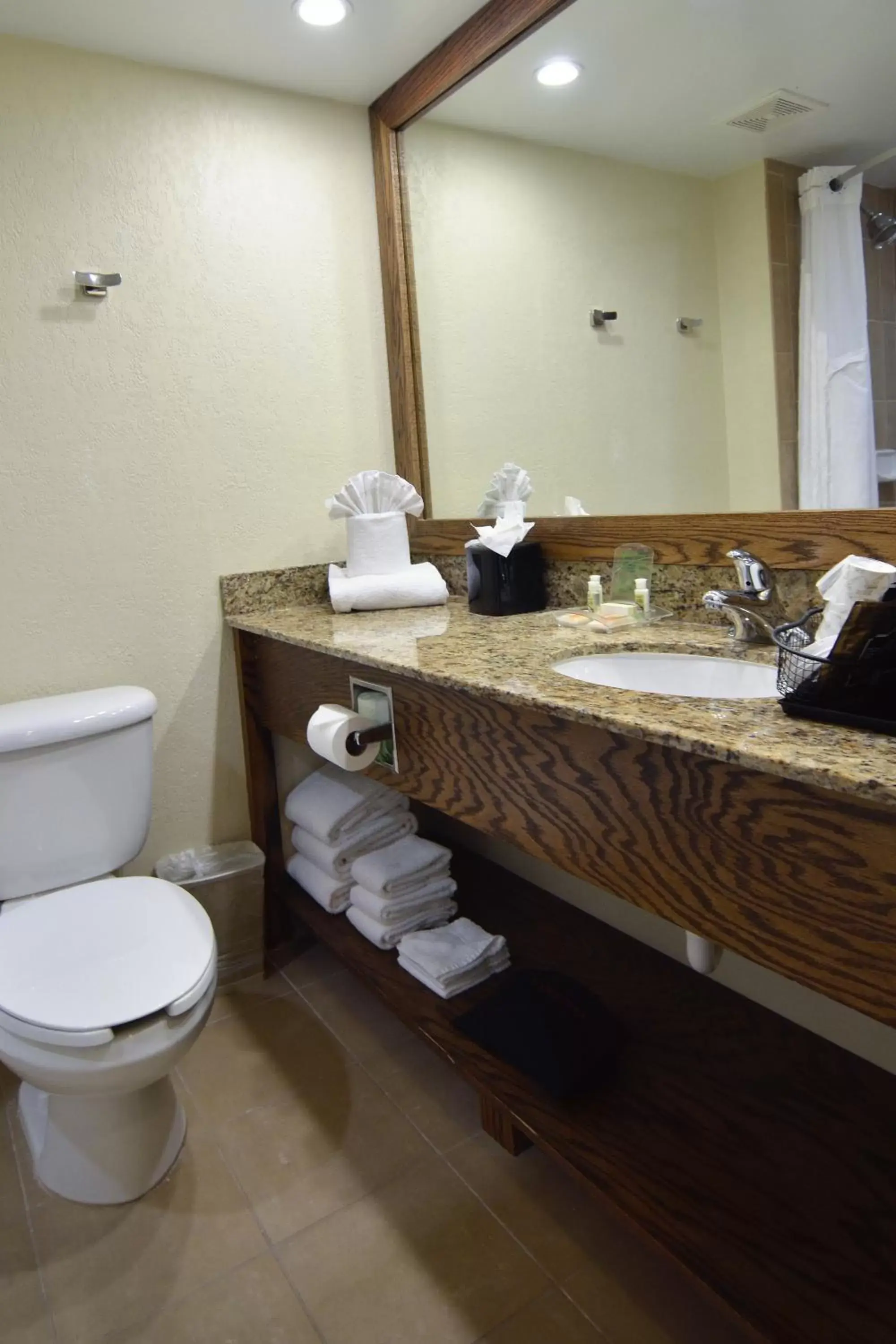 Bathroom in Holiday Inn - Fort Myers - Downtown Area, an IHG Hotel