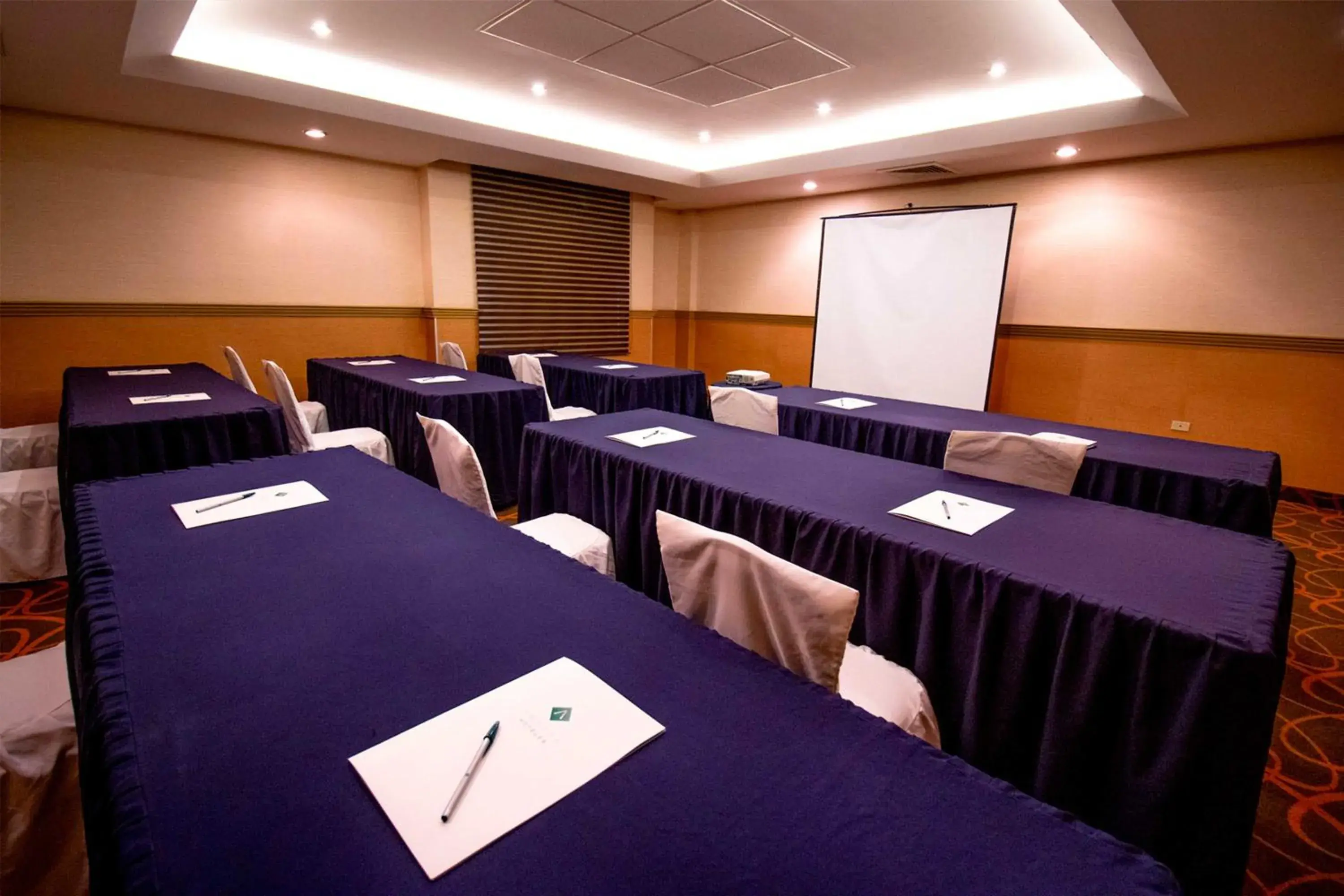 Meeting/conference room in Araiza Palmira Hotel y Centro de Convenciones