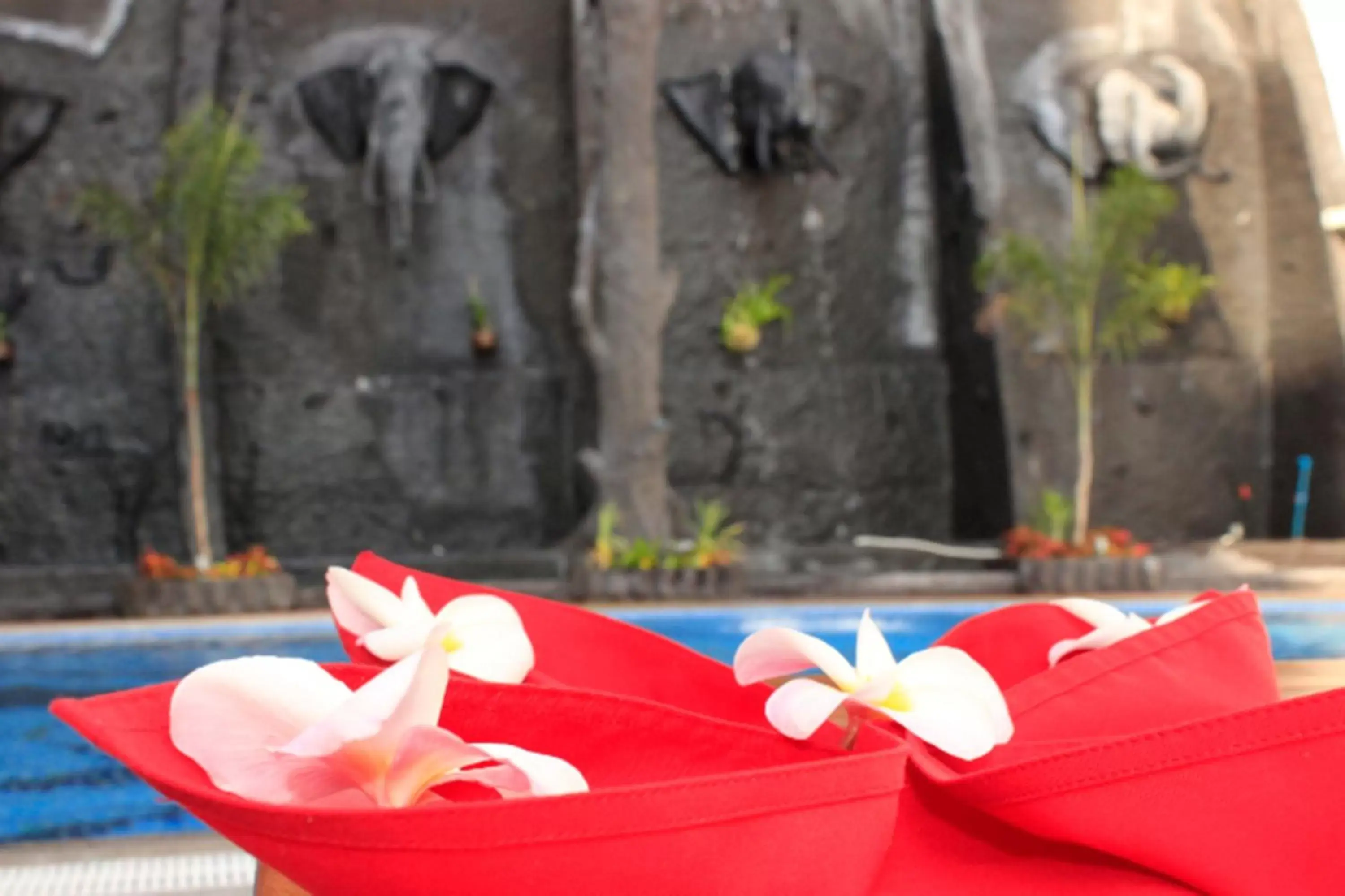 Pool view in Aristocrat Residence & Hotel