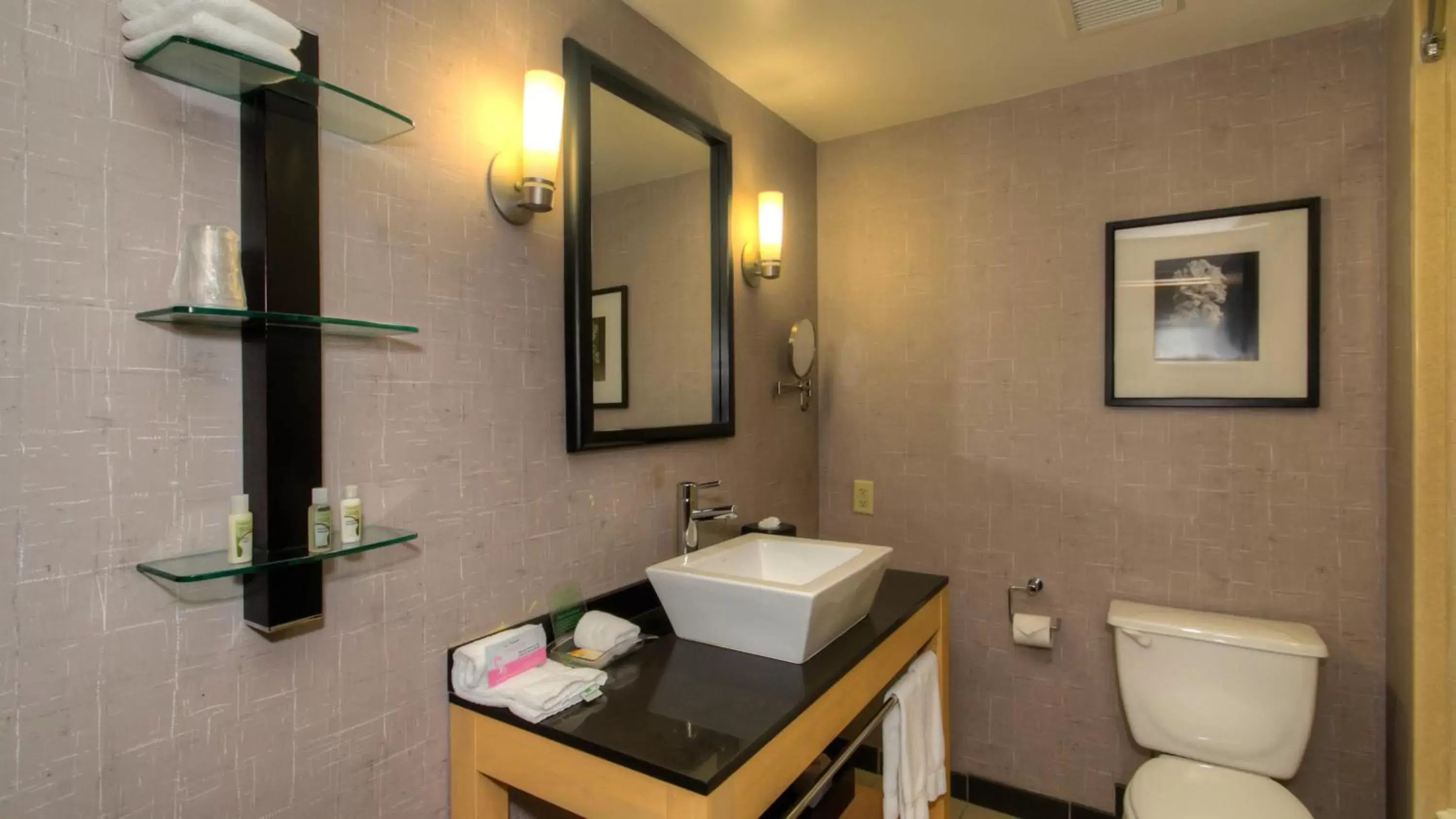 Photo of the whole room, Bathroom in Holiday Inn Boise Airport, an IHG Hotel
