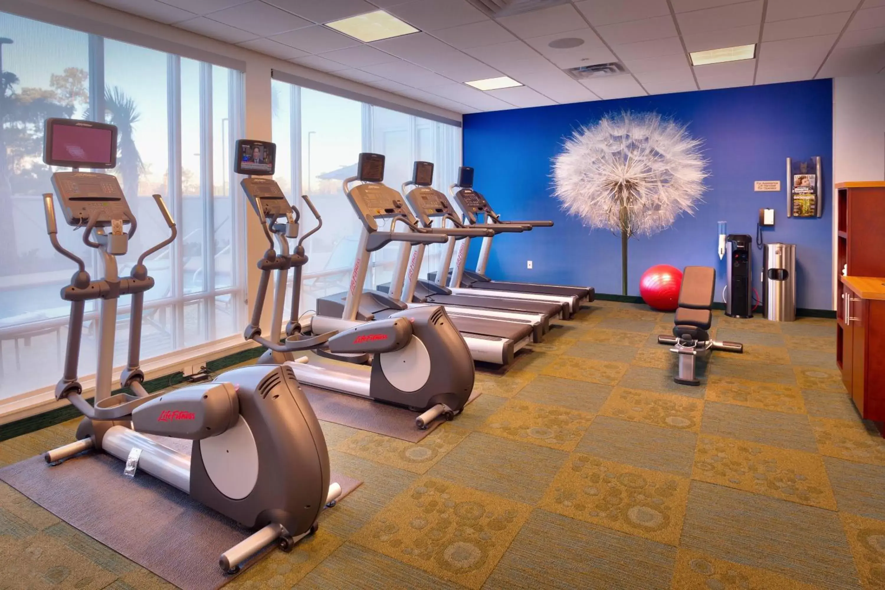 Fitness centre/facilities, Fitness Center/Facilities in SpringHill Suites by Marriott Houston I-45 North