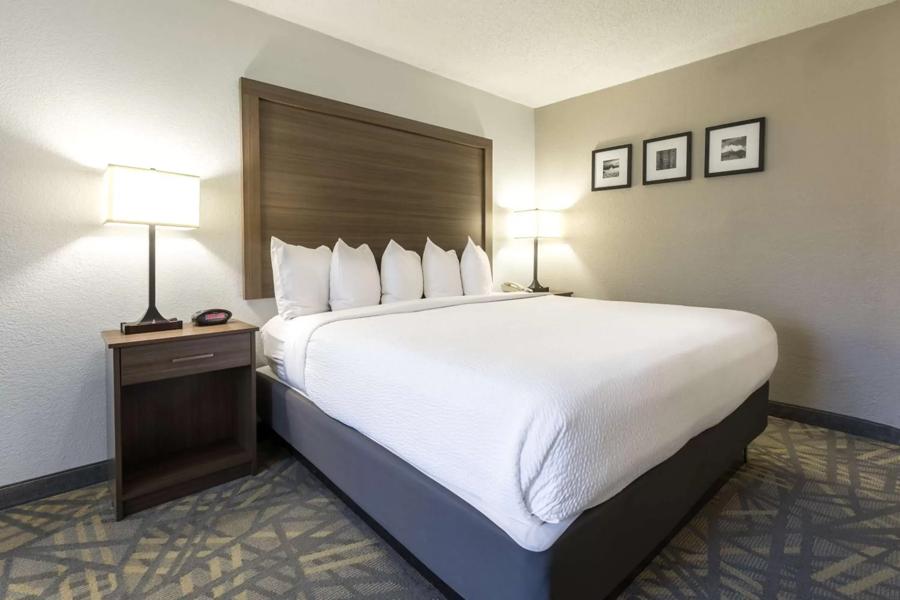 Photo of the whole room, Bed in Country Inn & Suites by Radisson, Asheville Downtown Tunnel Road, NC