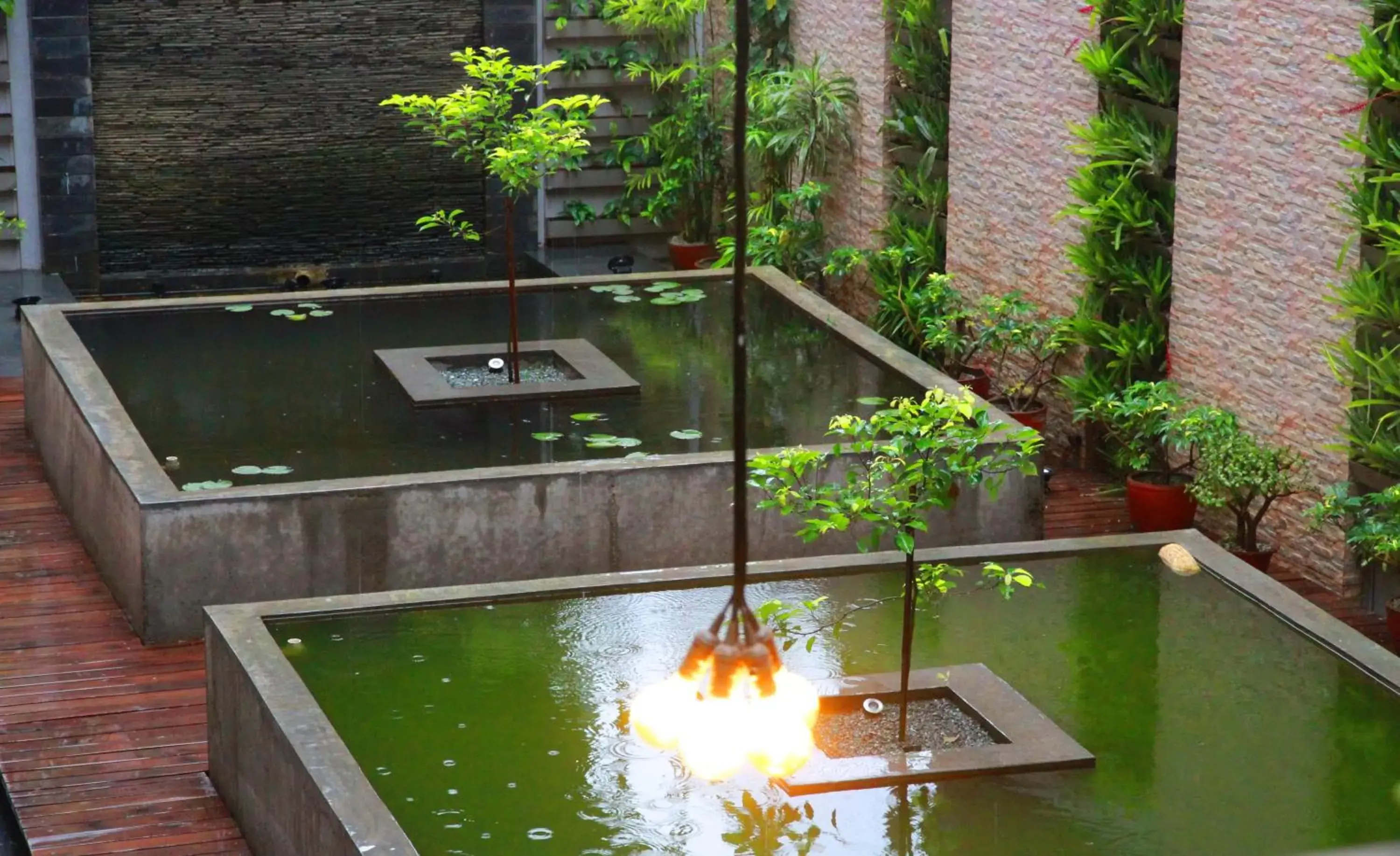 Garden, Pool View in Potala Guest House