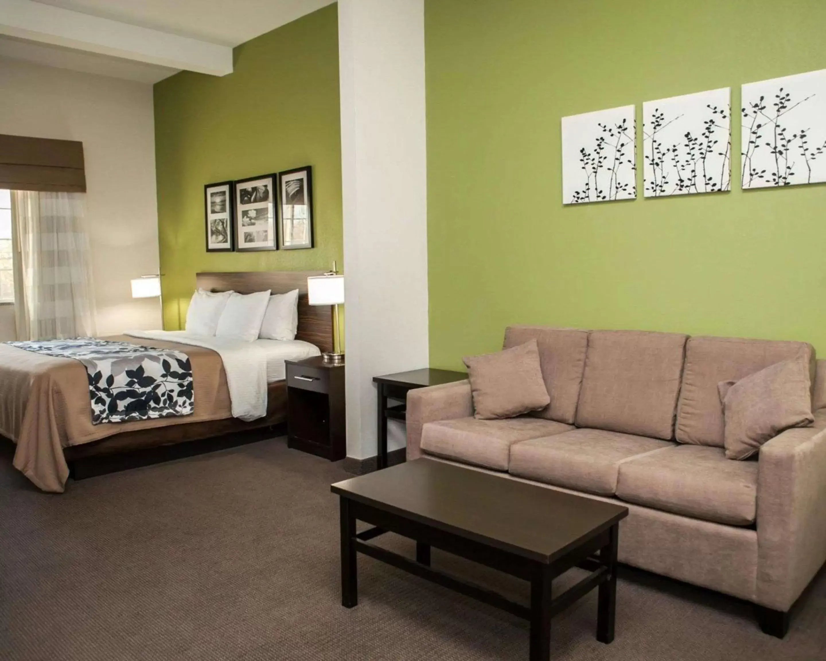 Photo of the whole room, Seating Area in Sleep Inn & Suites Harrisburg – Hershey North