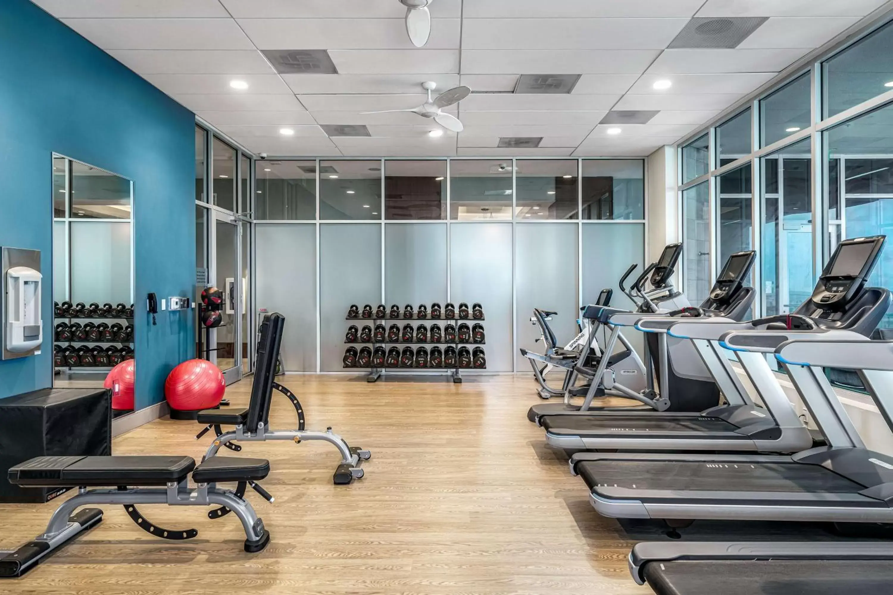Fitness centre/facilities, Fitness Center/Facilities in Embassy Suites By Hilton Sarasota