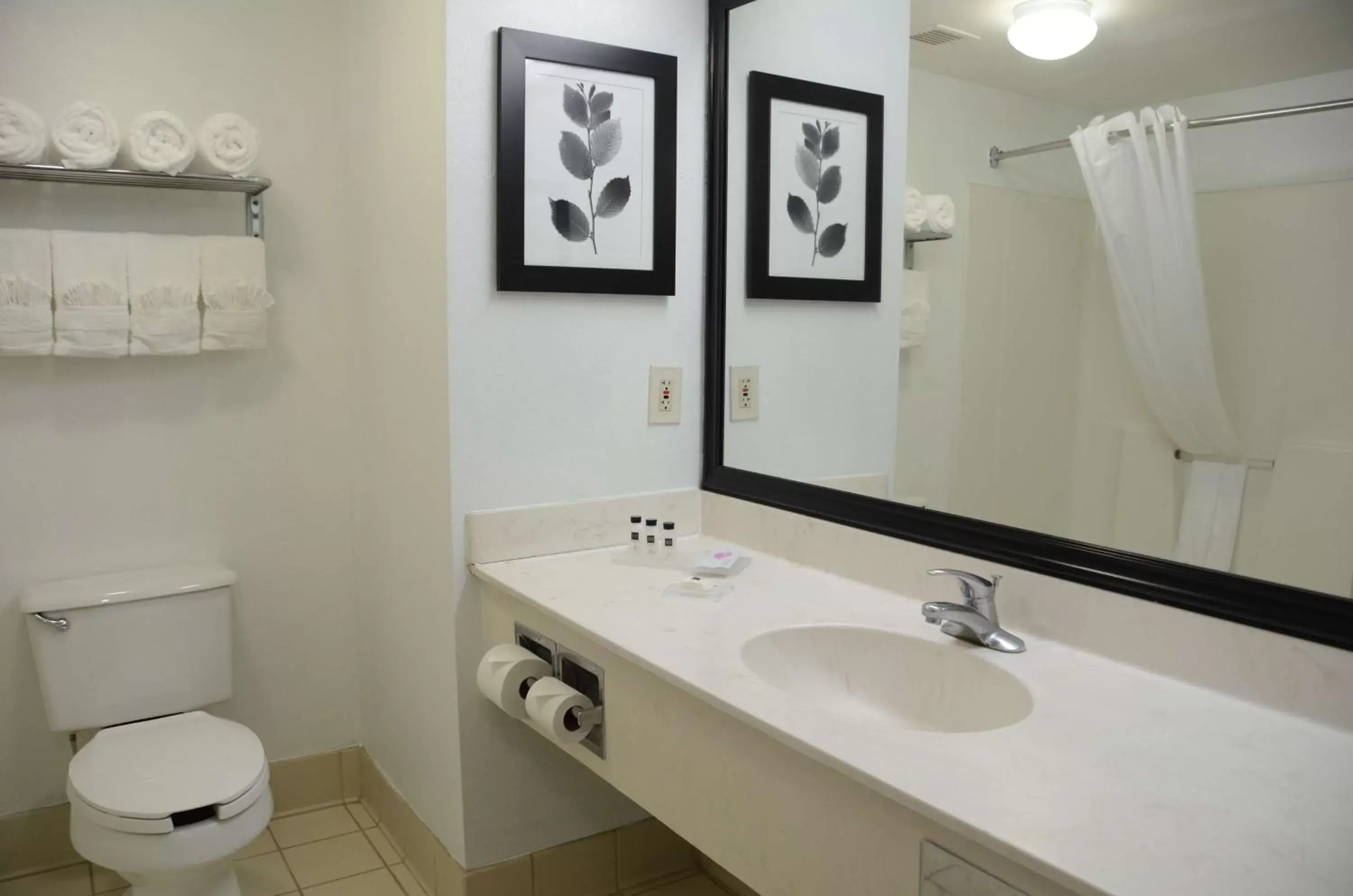 Bathroom in Country Inn & Suites by Radisson, Jacksonville, FL