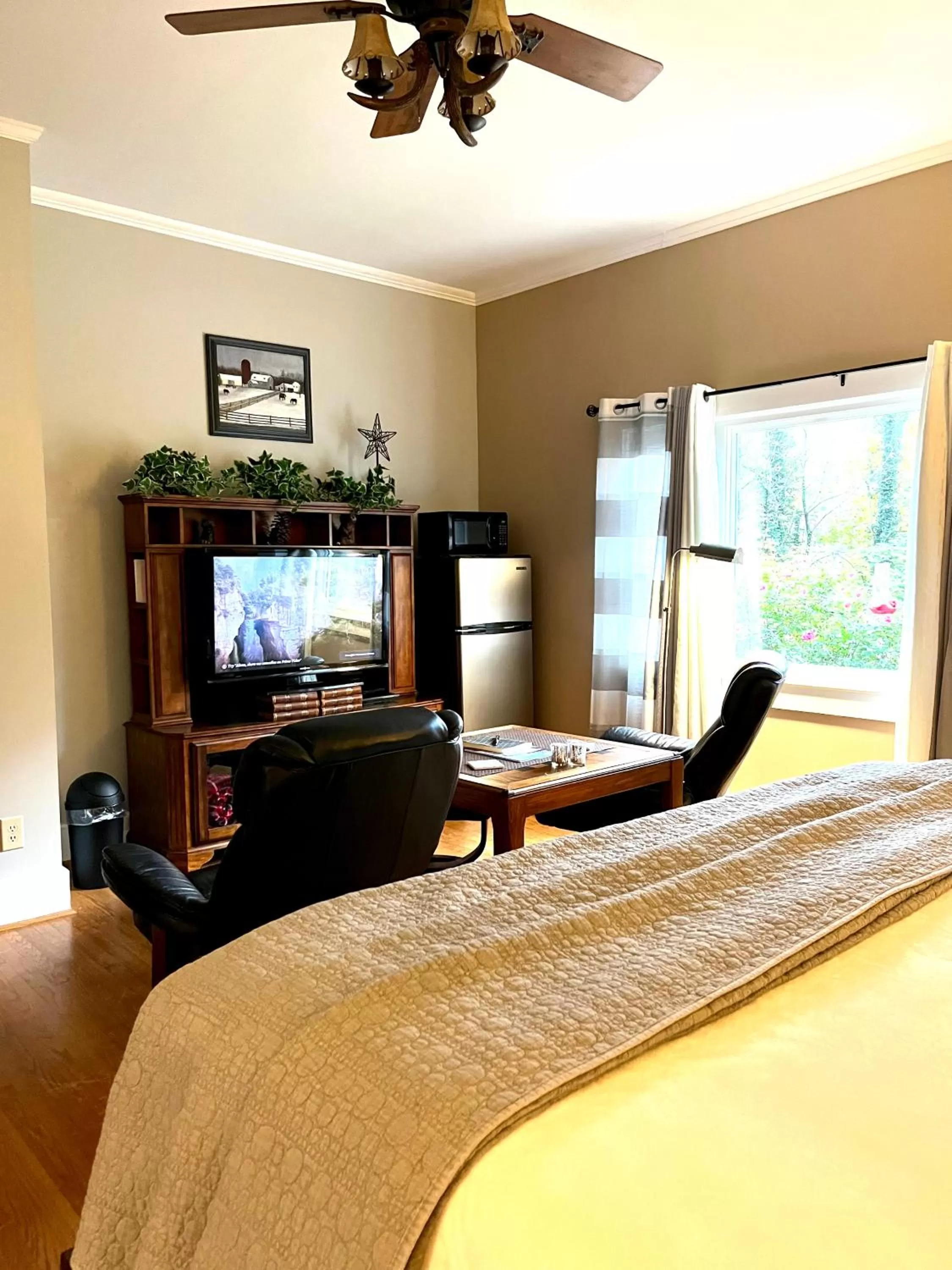 TV and multimedia in Grafton Lodge