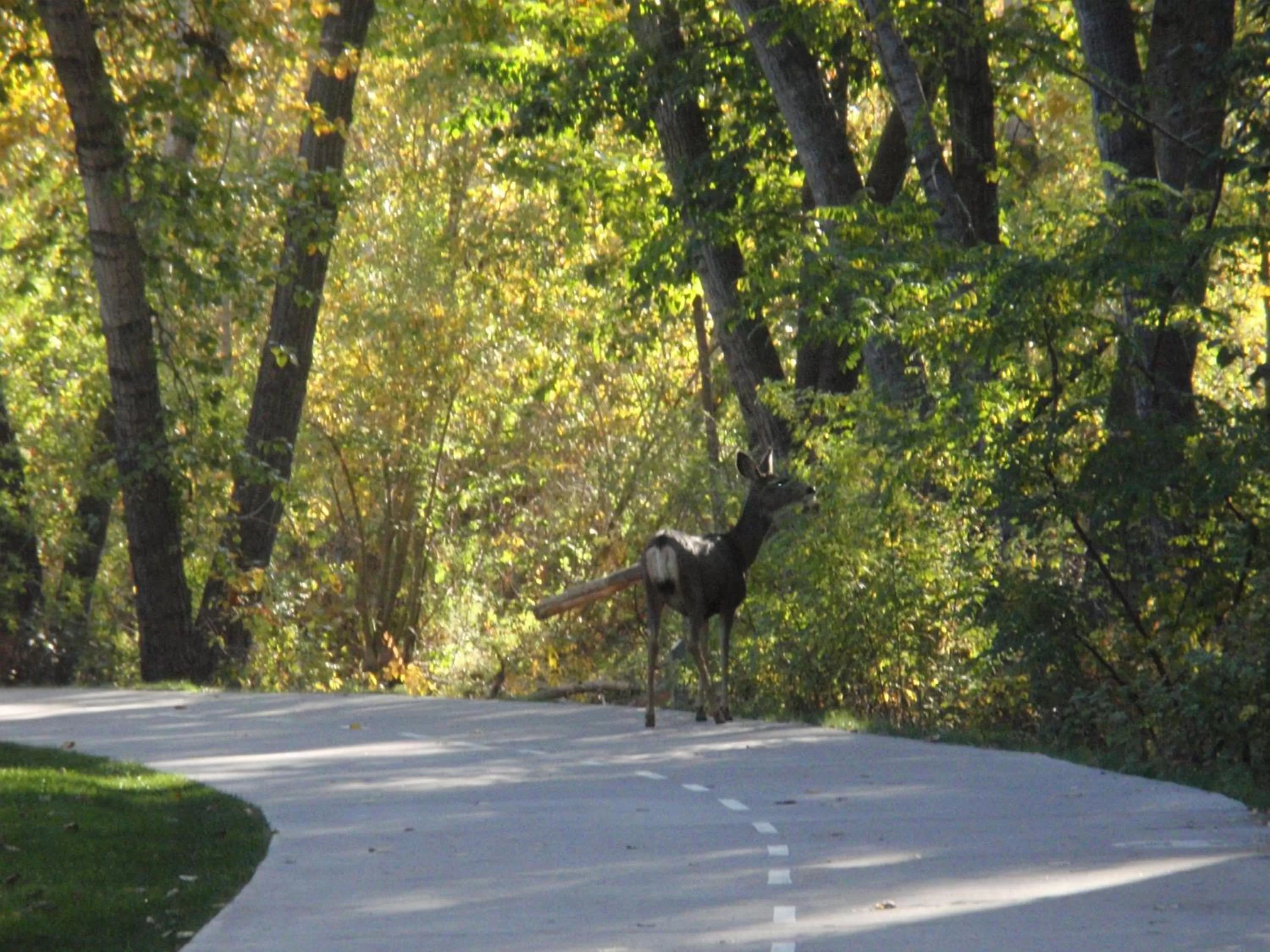 Nearby landmark in Holiday Inn Express & Suites Boise Airport by IHG