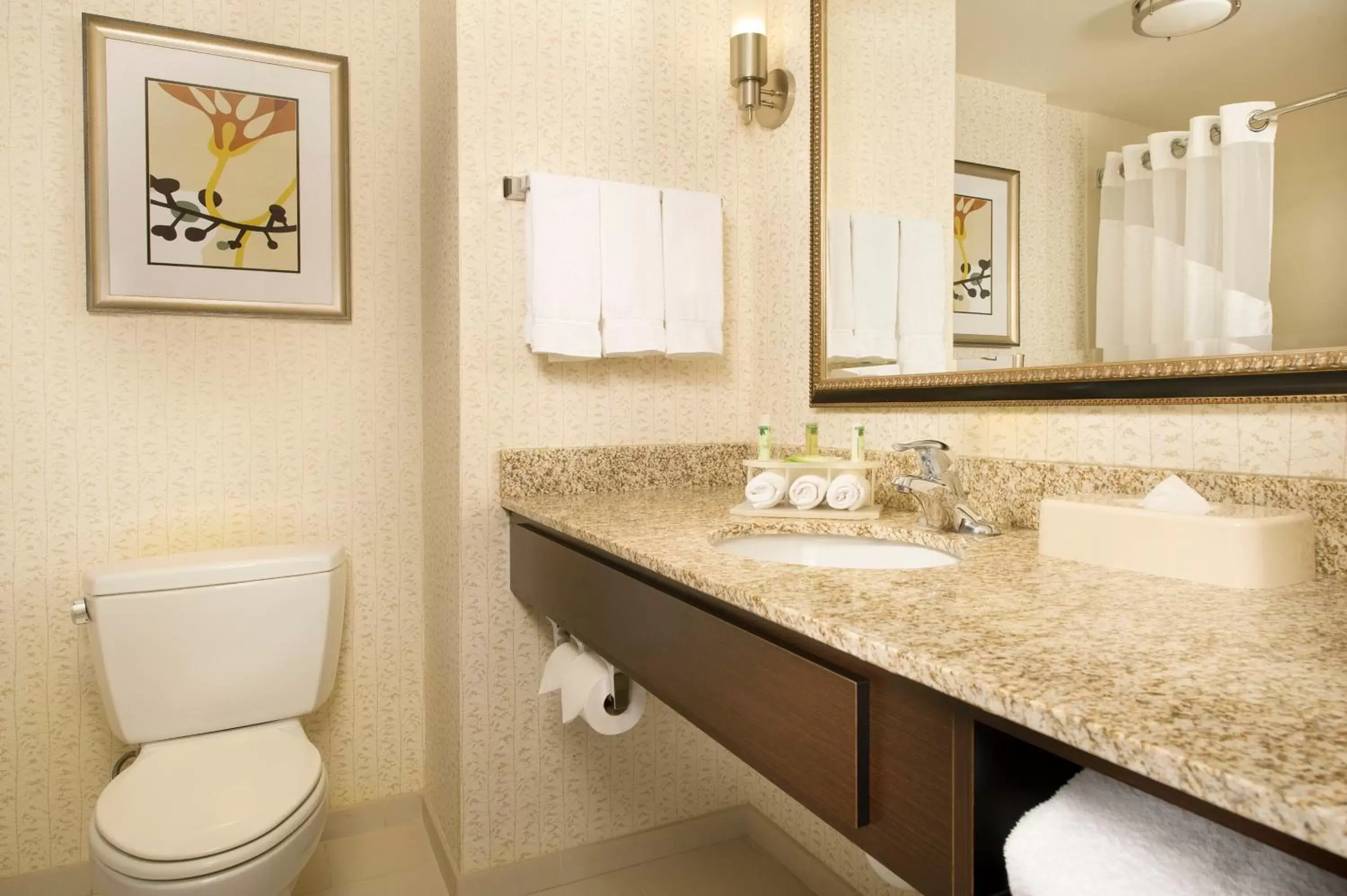 Bathroom in Holiday Inn Express & Suites Alexandria - Fort Belvoir, an IHG Hotel