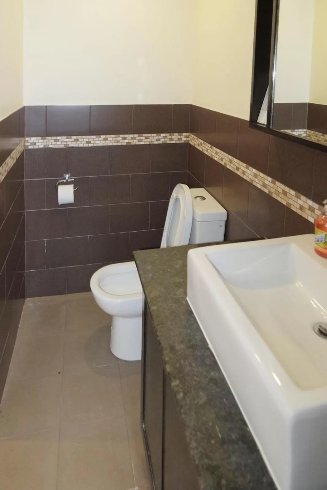 Toilet in Cliffside Resort