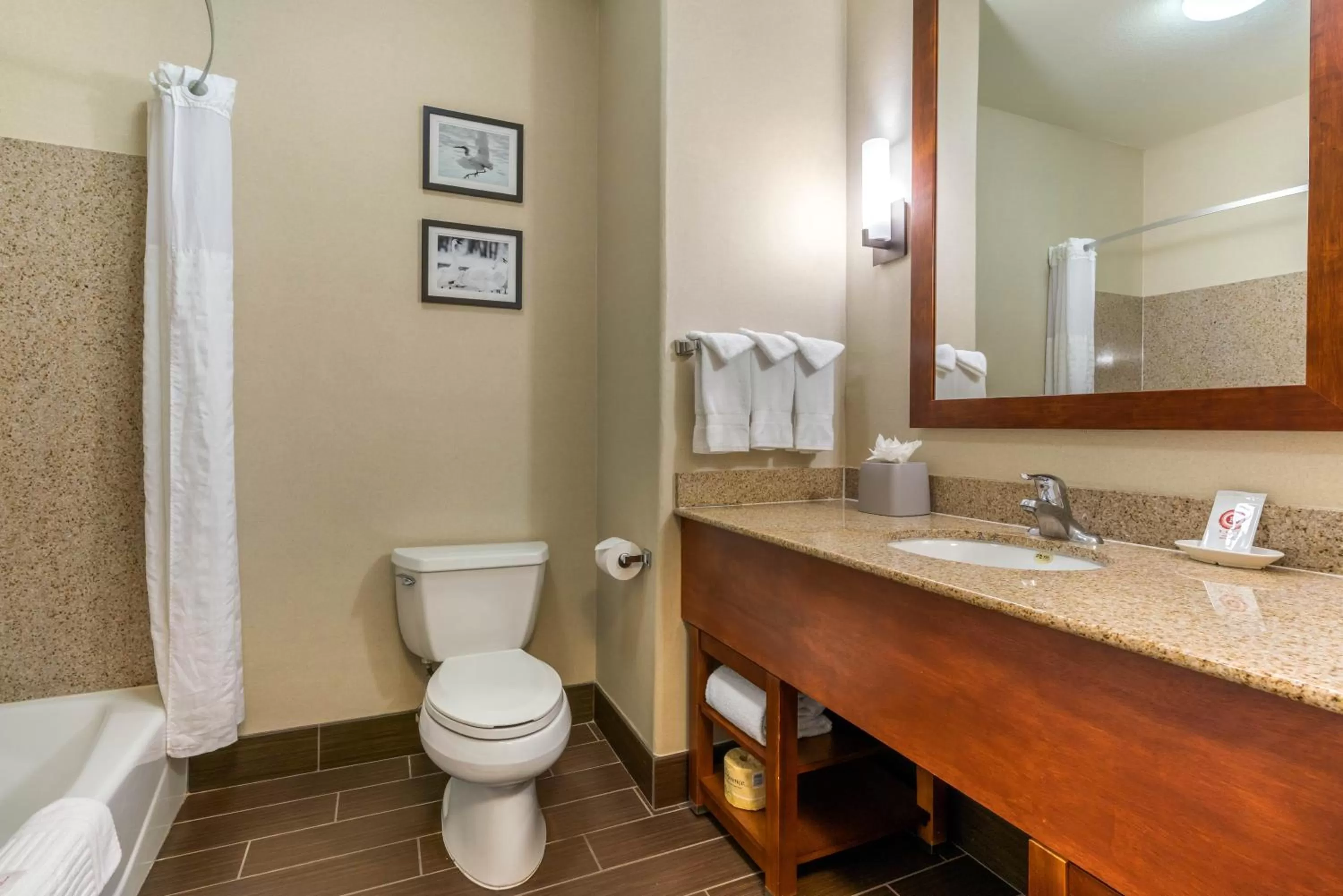 Queen Suite with Two Queen Beds - Non-Smoking in Comfort Inn & Suites Galt - Lodi North