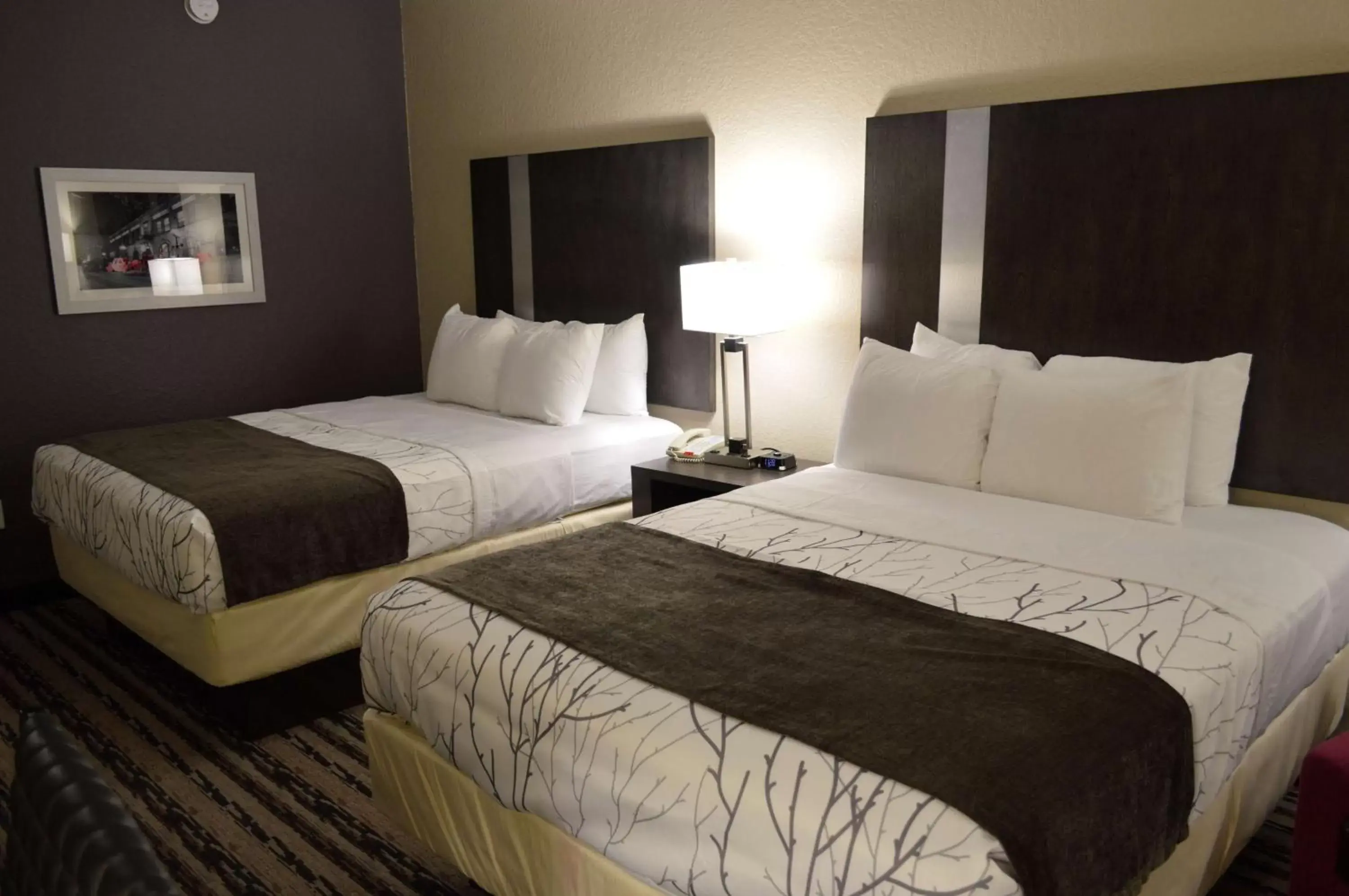 Photo of the whole room, Bed in Best Western Boerne Inn & Suites