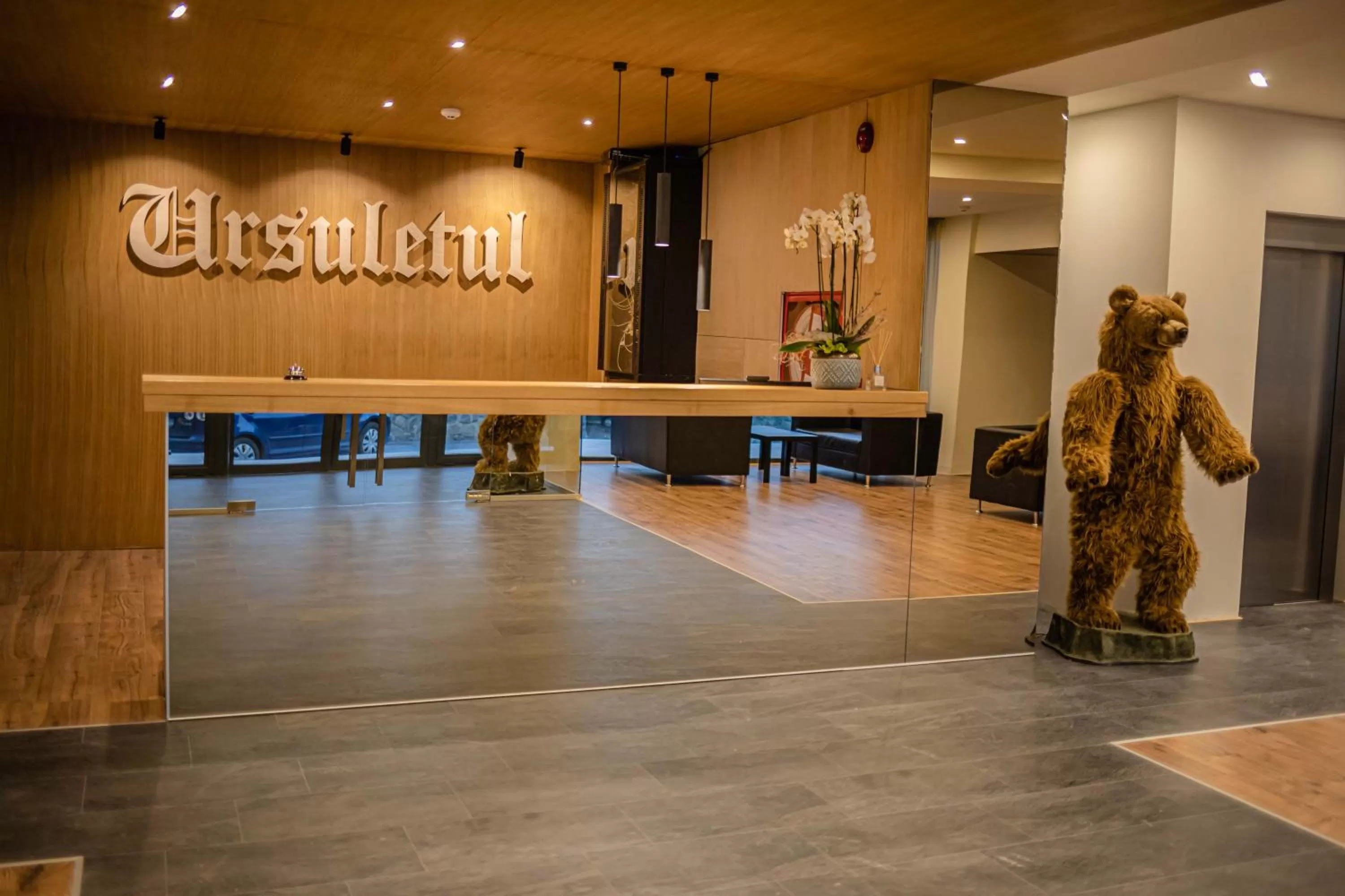 Lobby or reception in Ursuletul Predeal