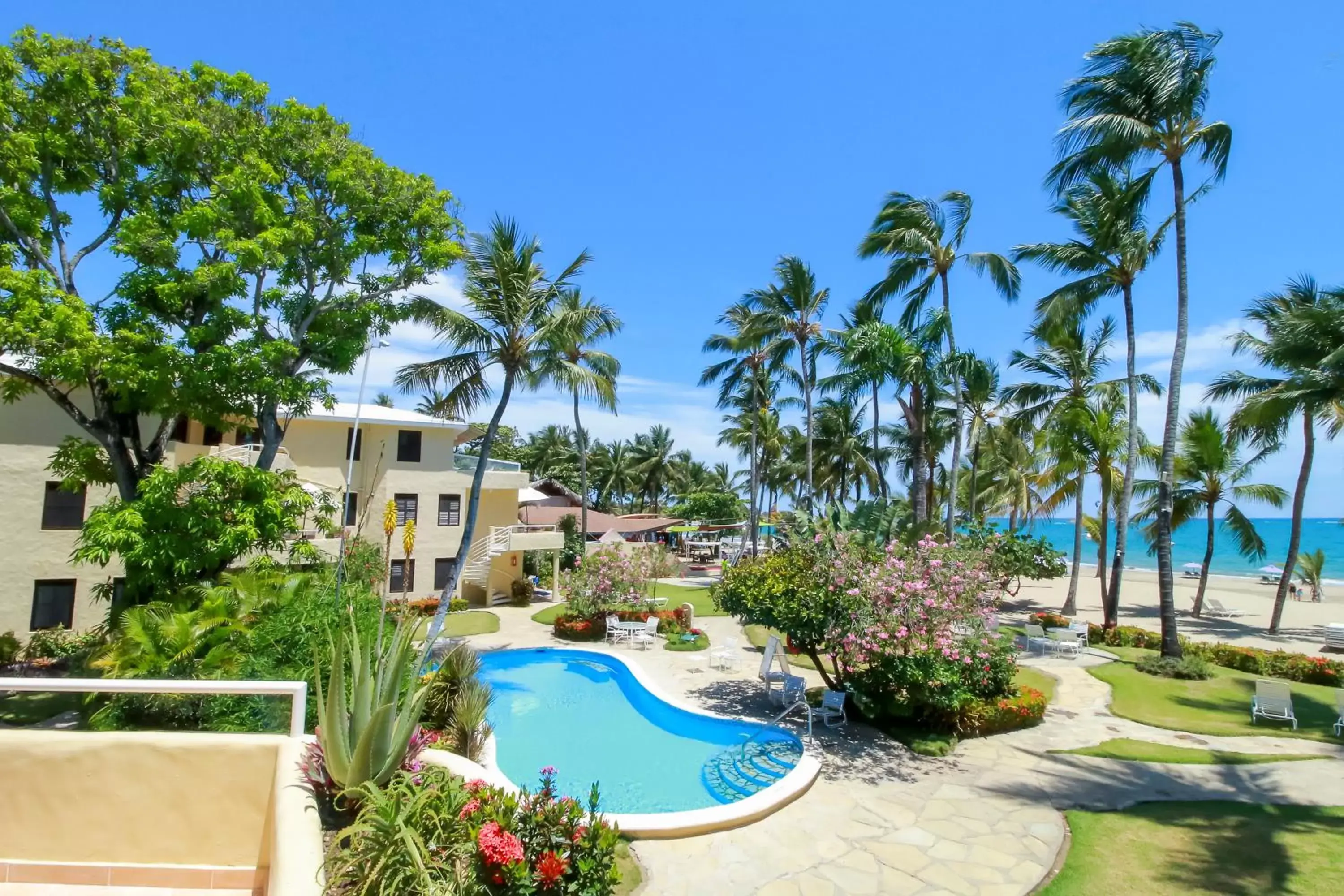 Swimming Pool in Cabarete Palm Beach Condos