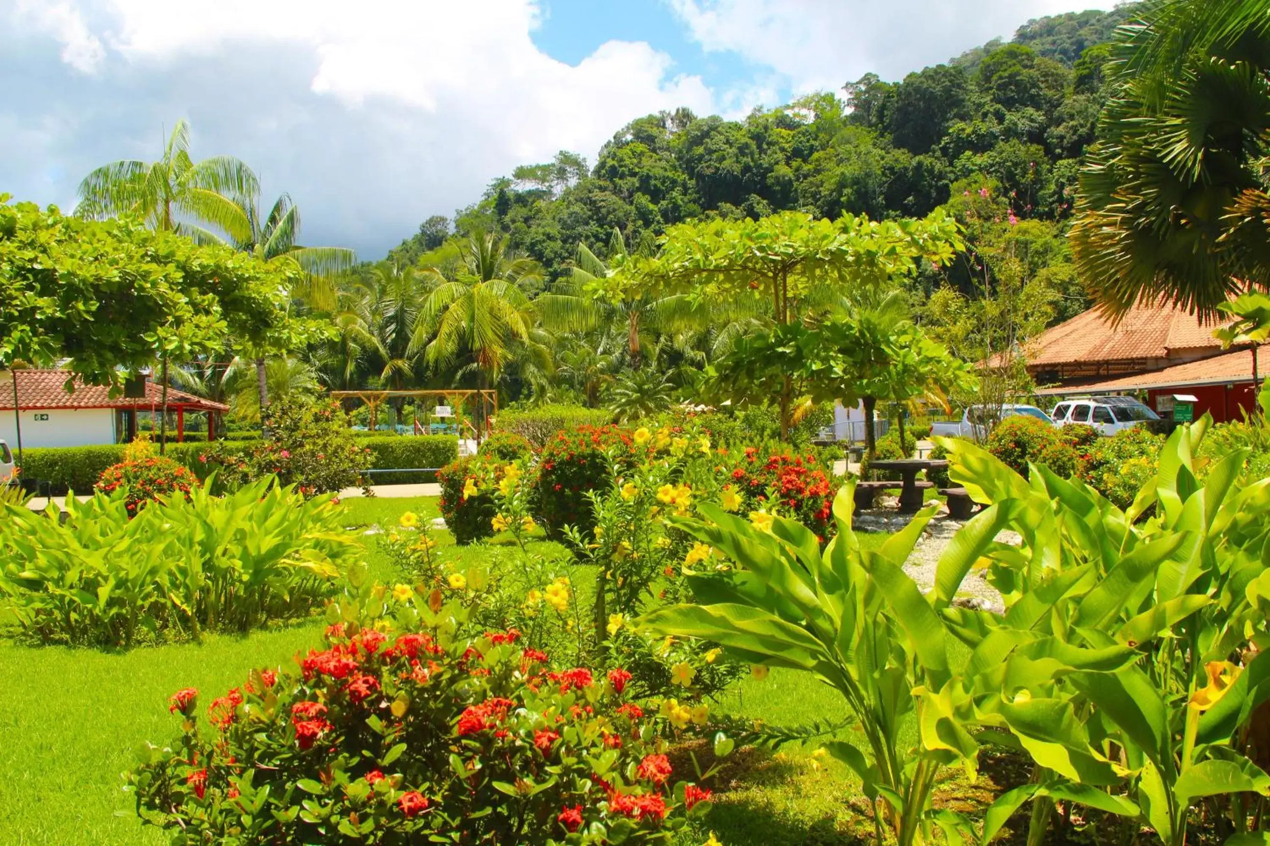 Day, Garden in Hotel Samoa del Sur