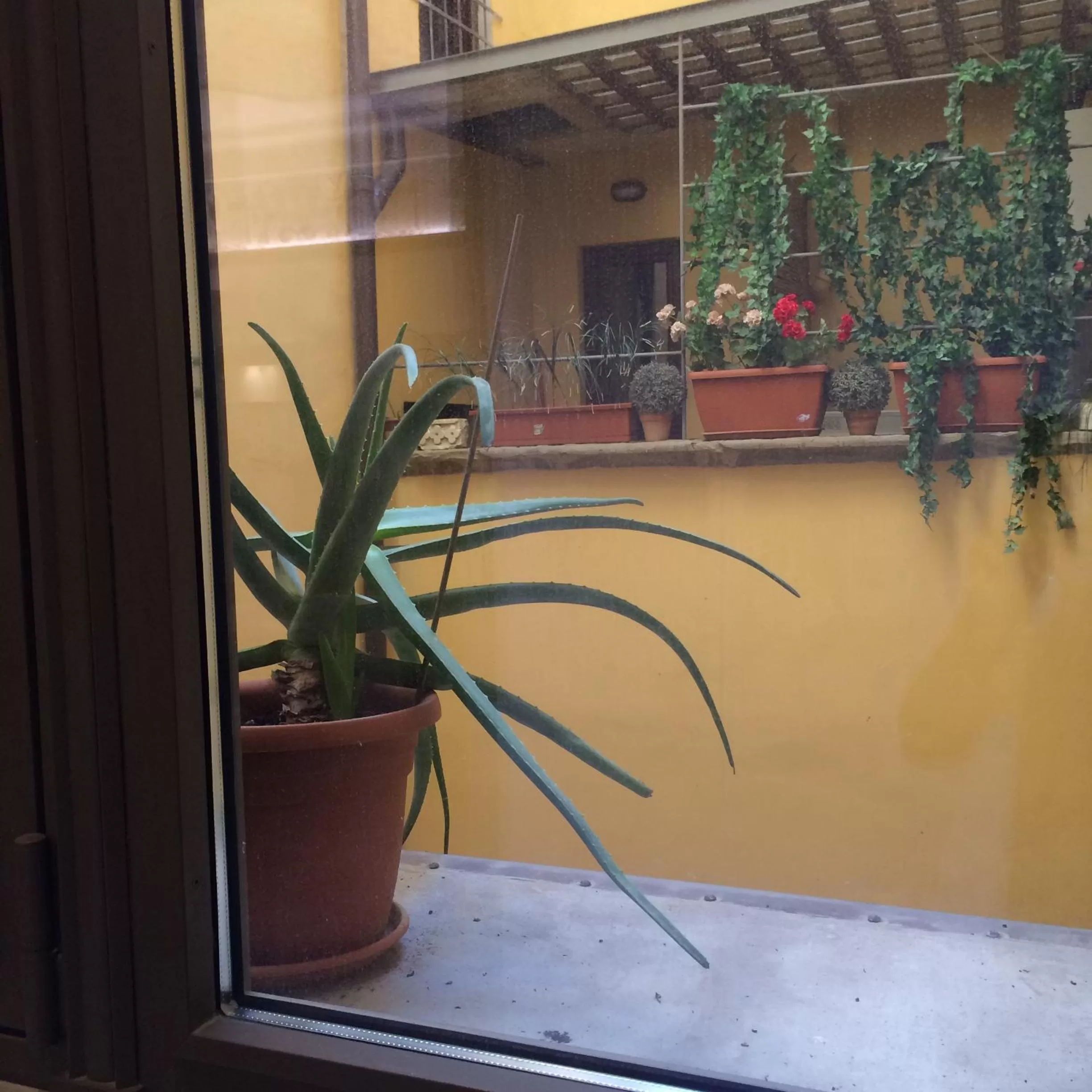 Breakfast in Hotel Renaissance