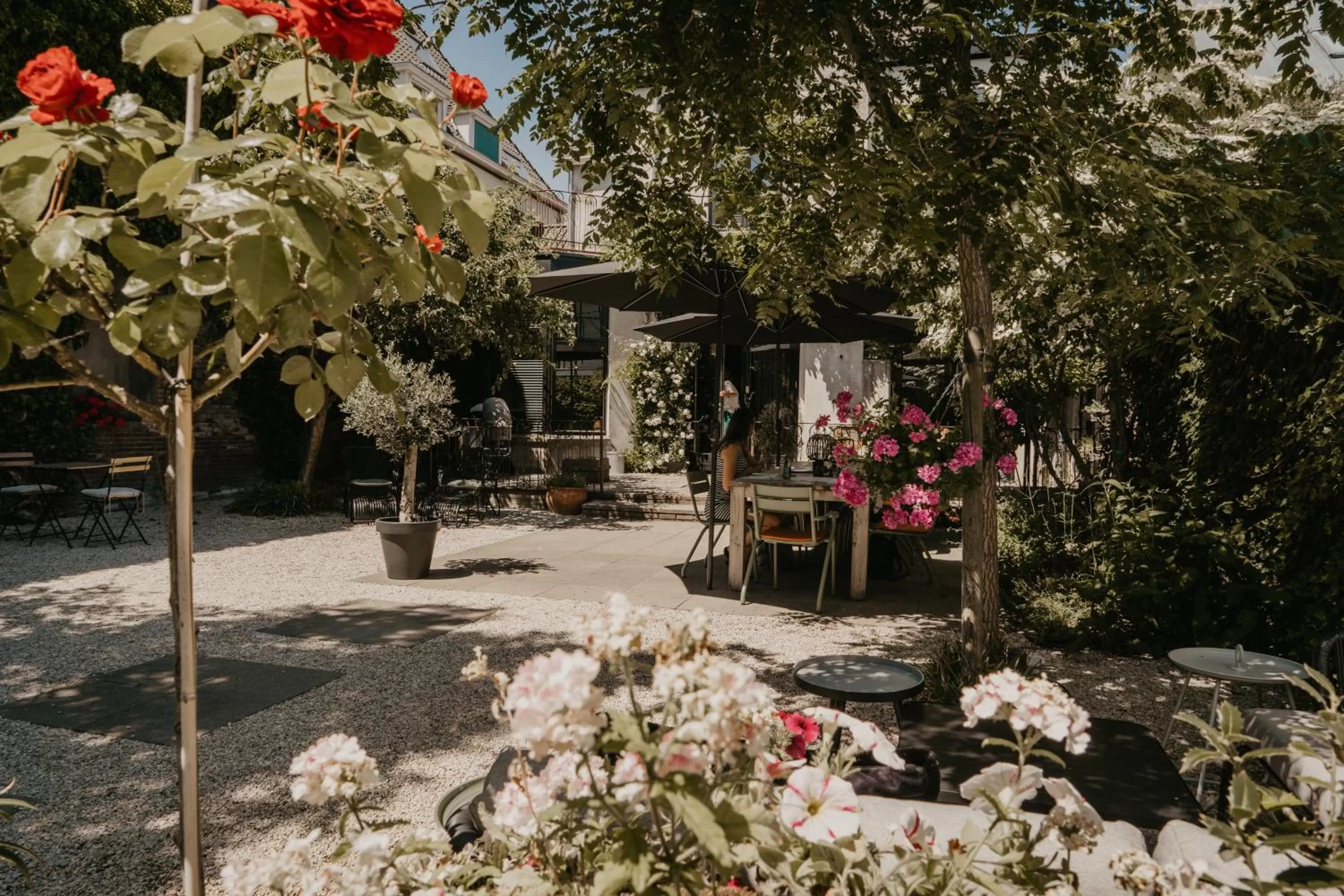 Garden in The Yard hotel Zuidkade