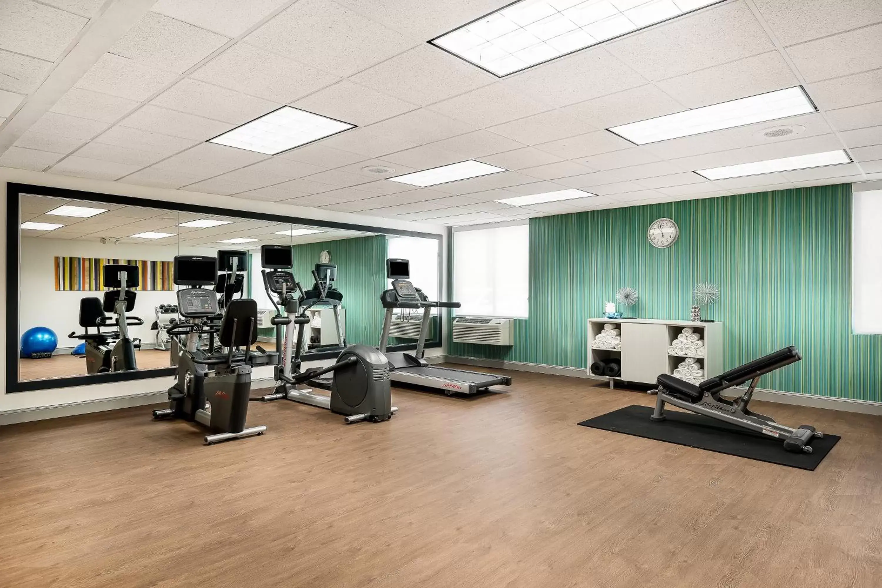 Spa and wellness centre/facilities, Fitness Center/Facilities in Holiday Inn Express Hotel & Suites Charlotte Airport-Belmont, an IHG Hotel