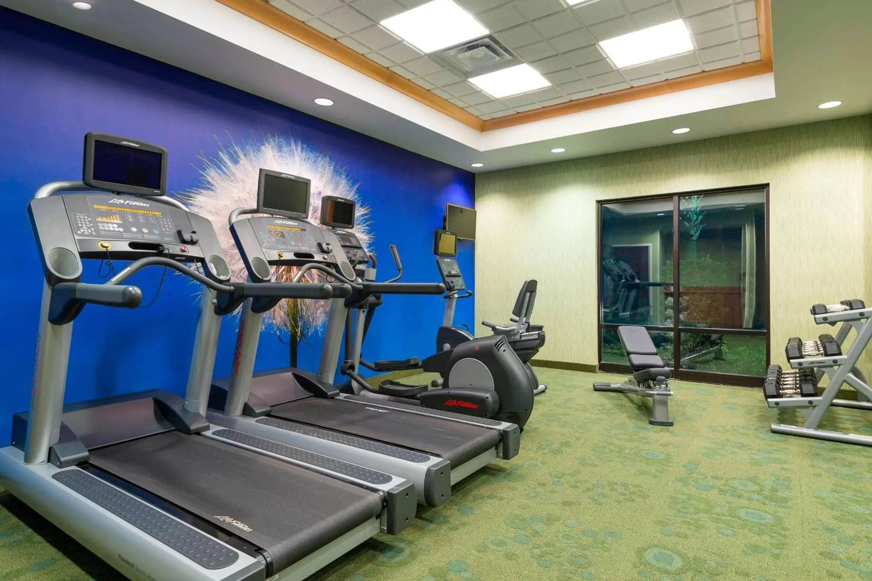 Fitness centre/facilities, Fitness Center/Facilities in SpringHill Suites Fort Myers Airport