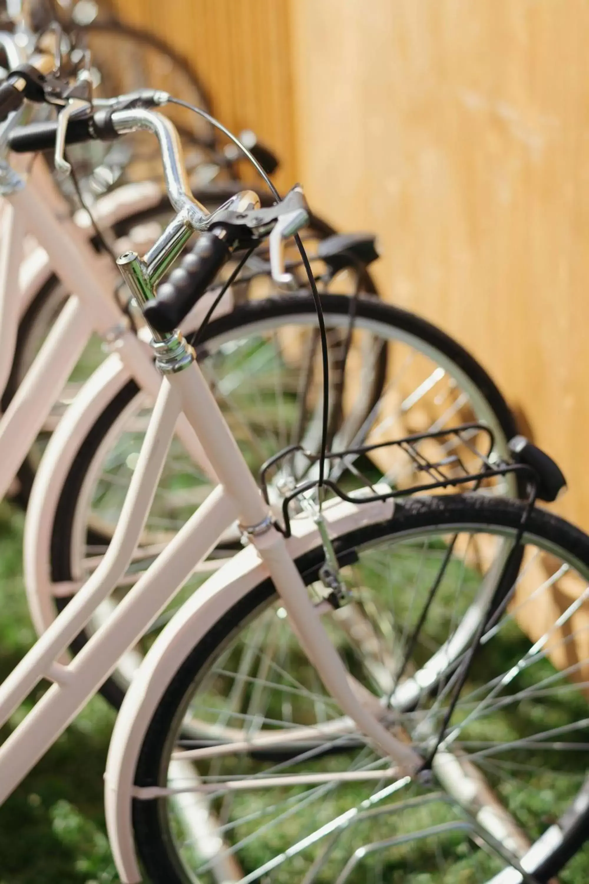 Other, Biking in JW Marriott Venice Resort & Spa