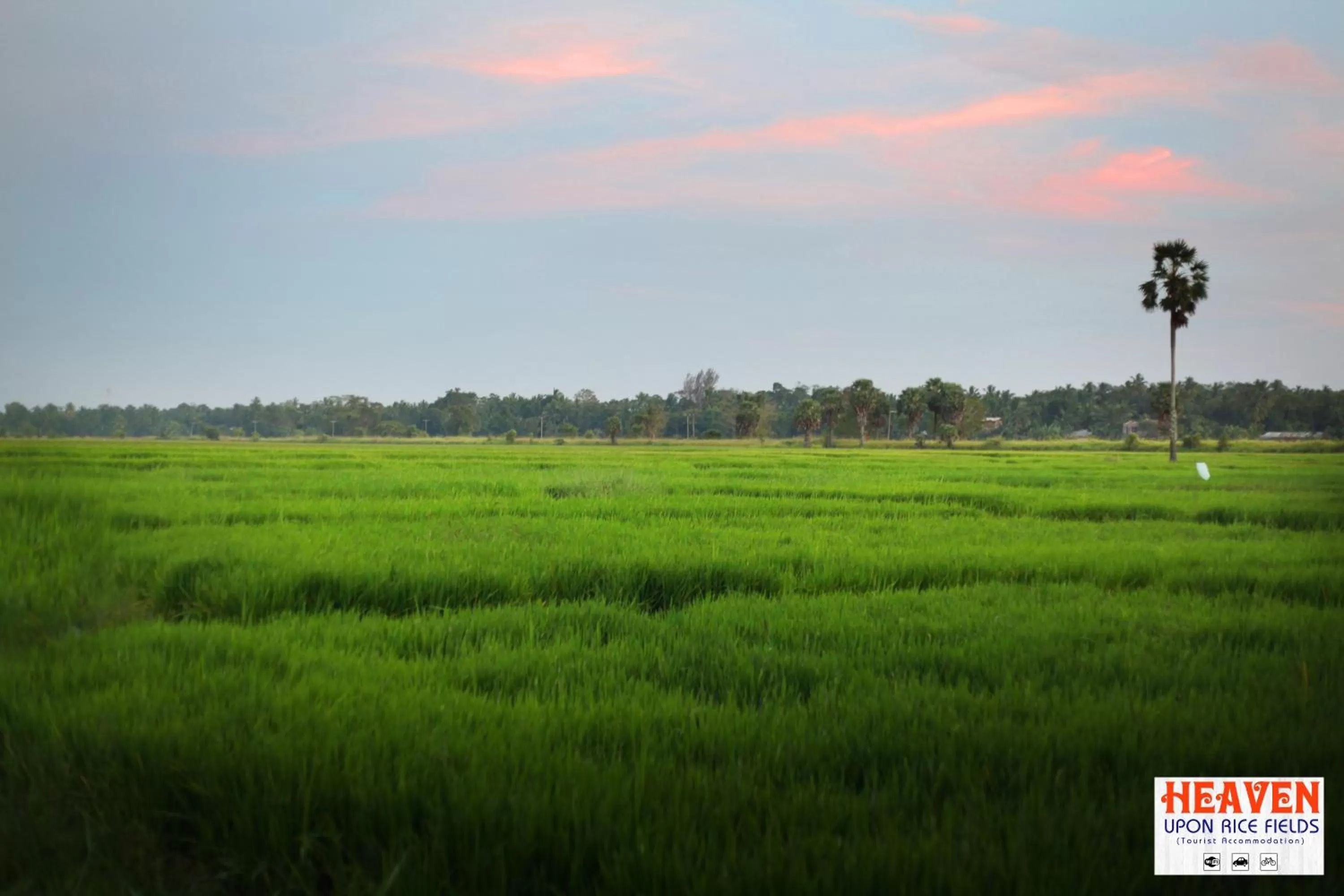 Natural landscape in Heaven Upon Rice Fields