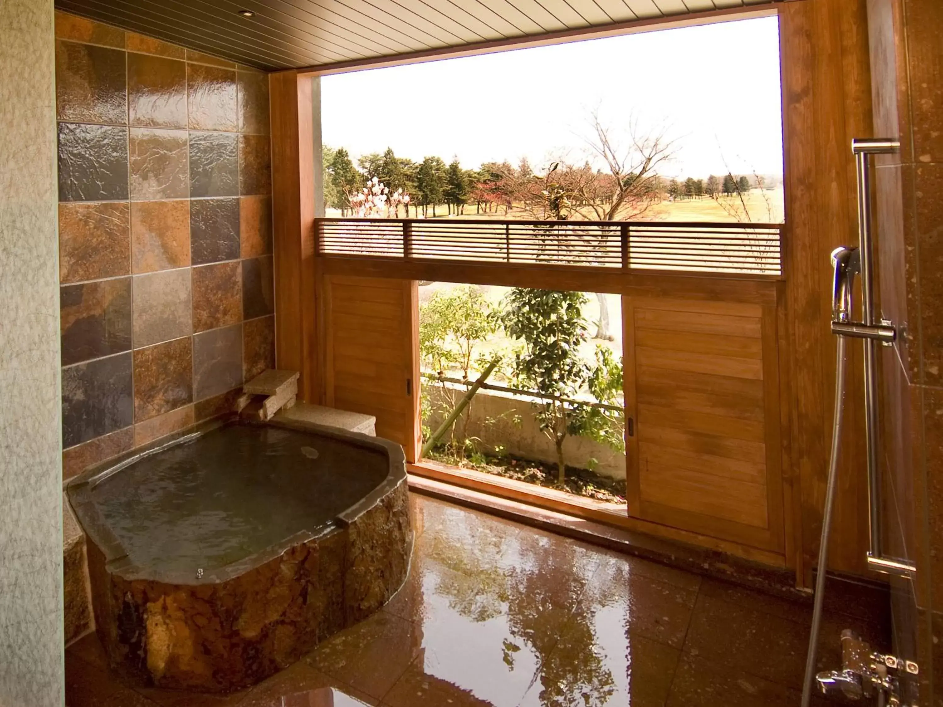 Hot Spring Bath in Wellness Forest Nasu