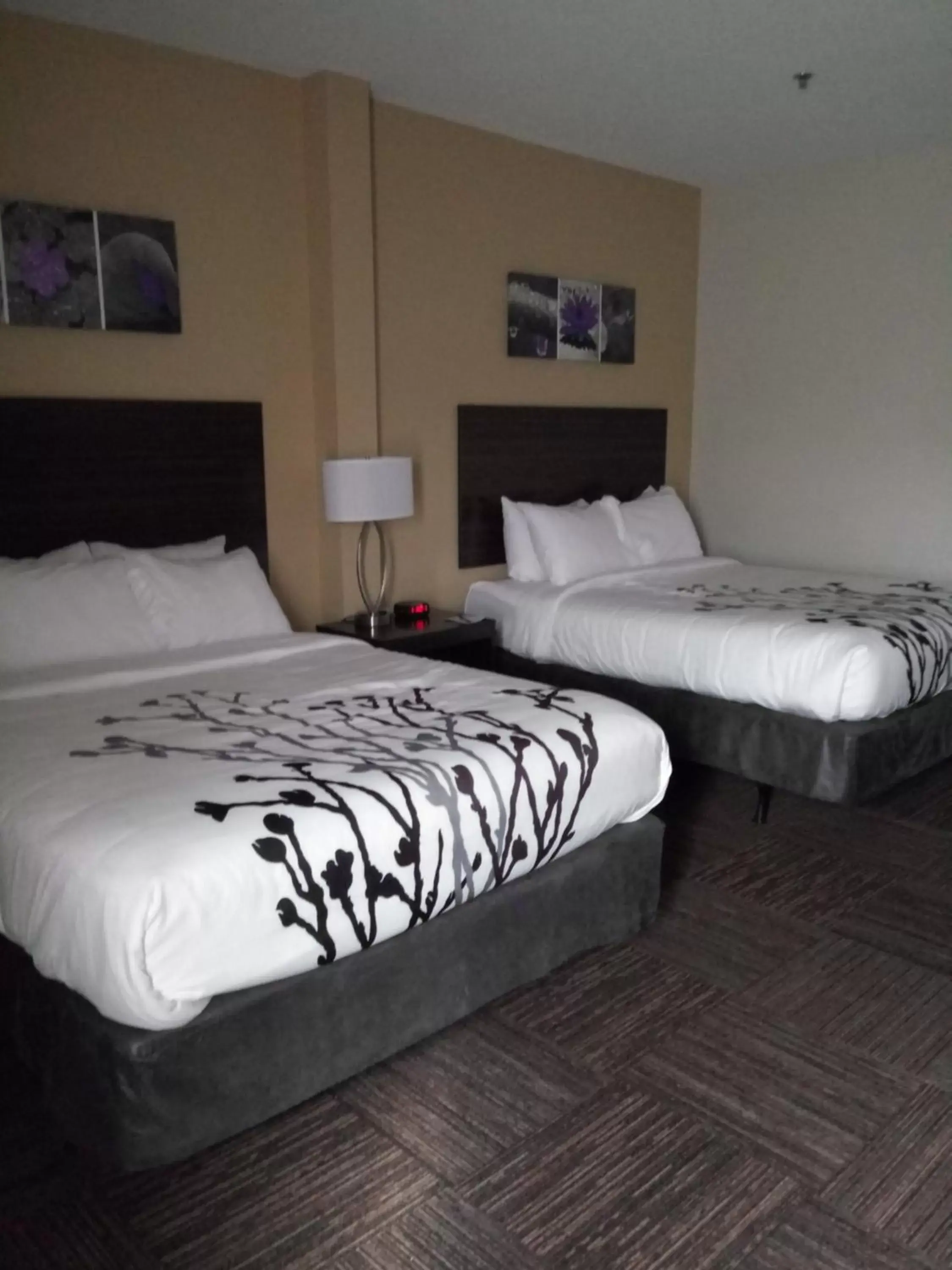 Guests, Bed in Sleep Inn & Suites Wisconsin Rapids