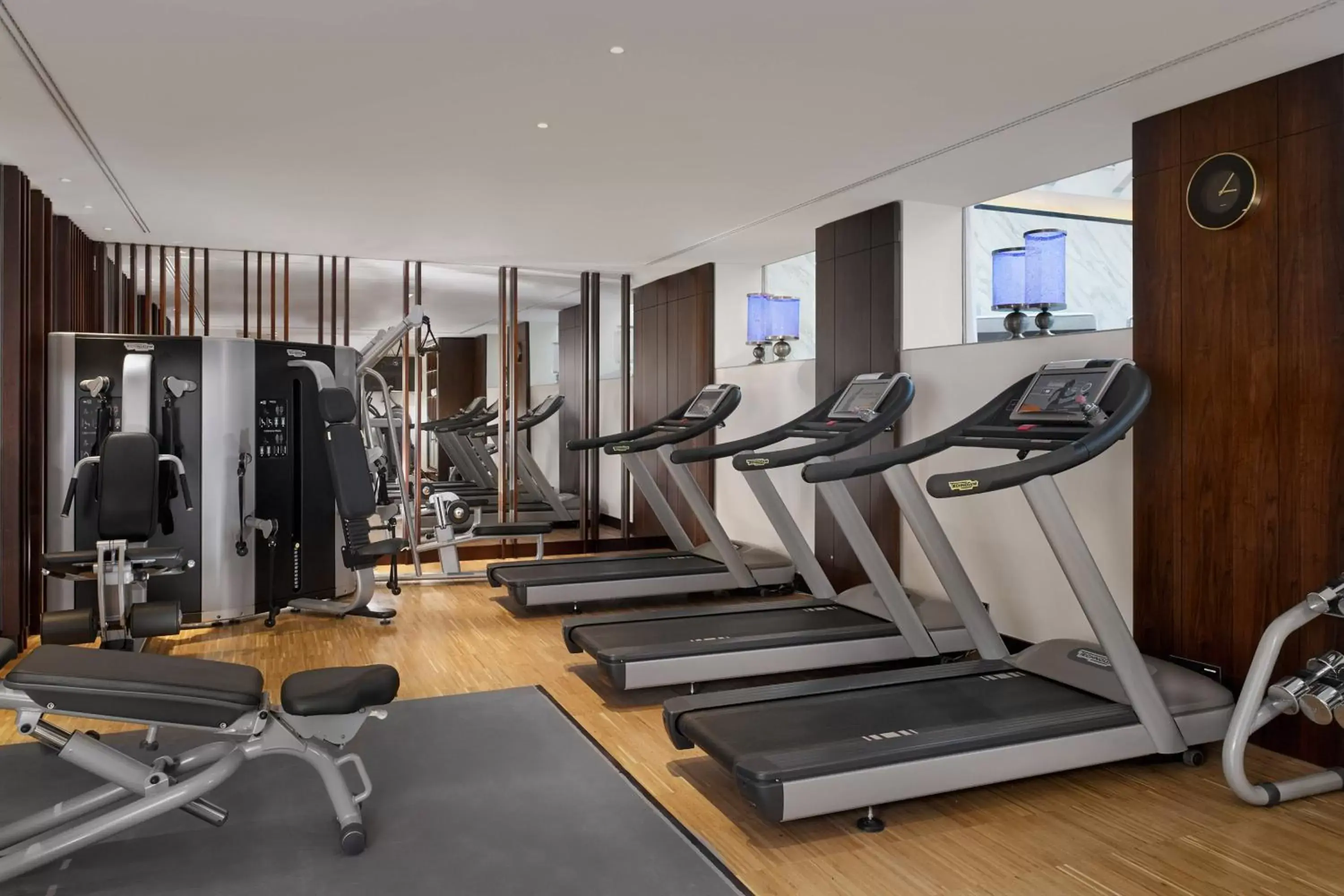 Fitness centre/facilities, Fitness Center/Facilities in The Ritz-Carlton, Budapest