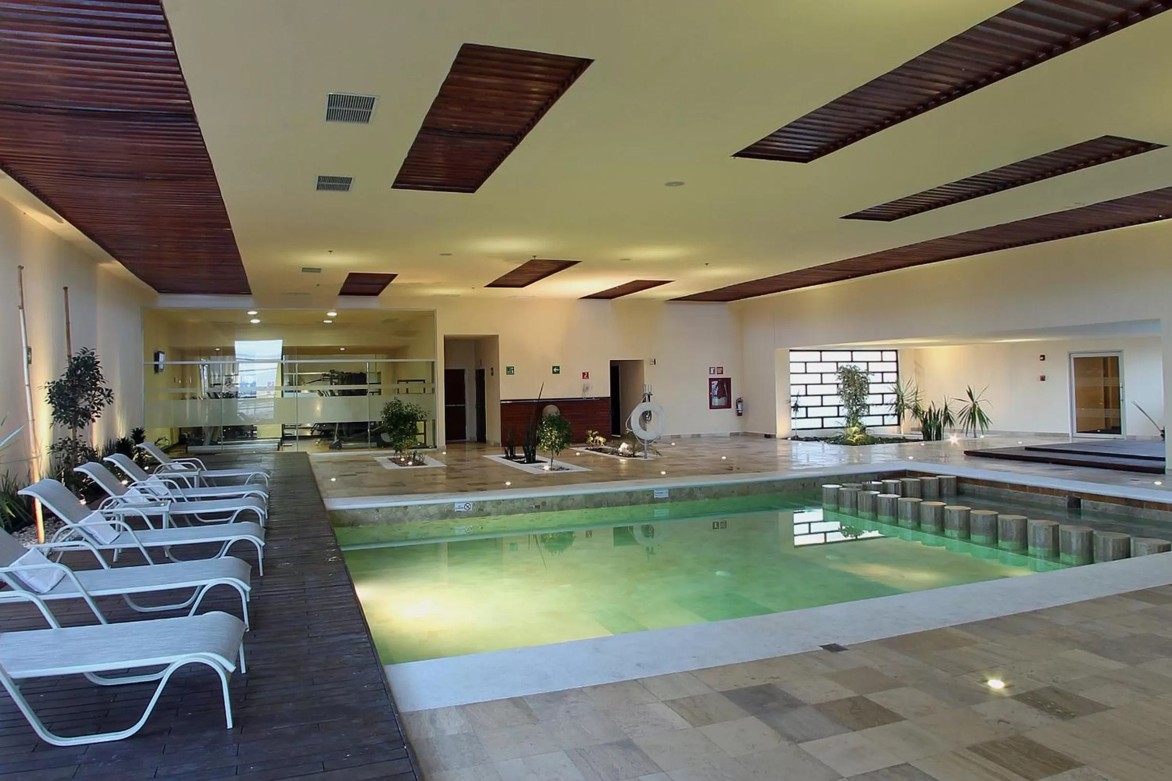 Swimming pool in Hotel Opus Grand Toluca Aeropuerto