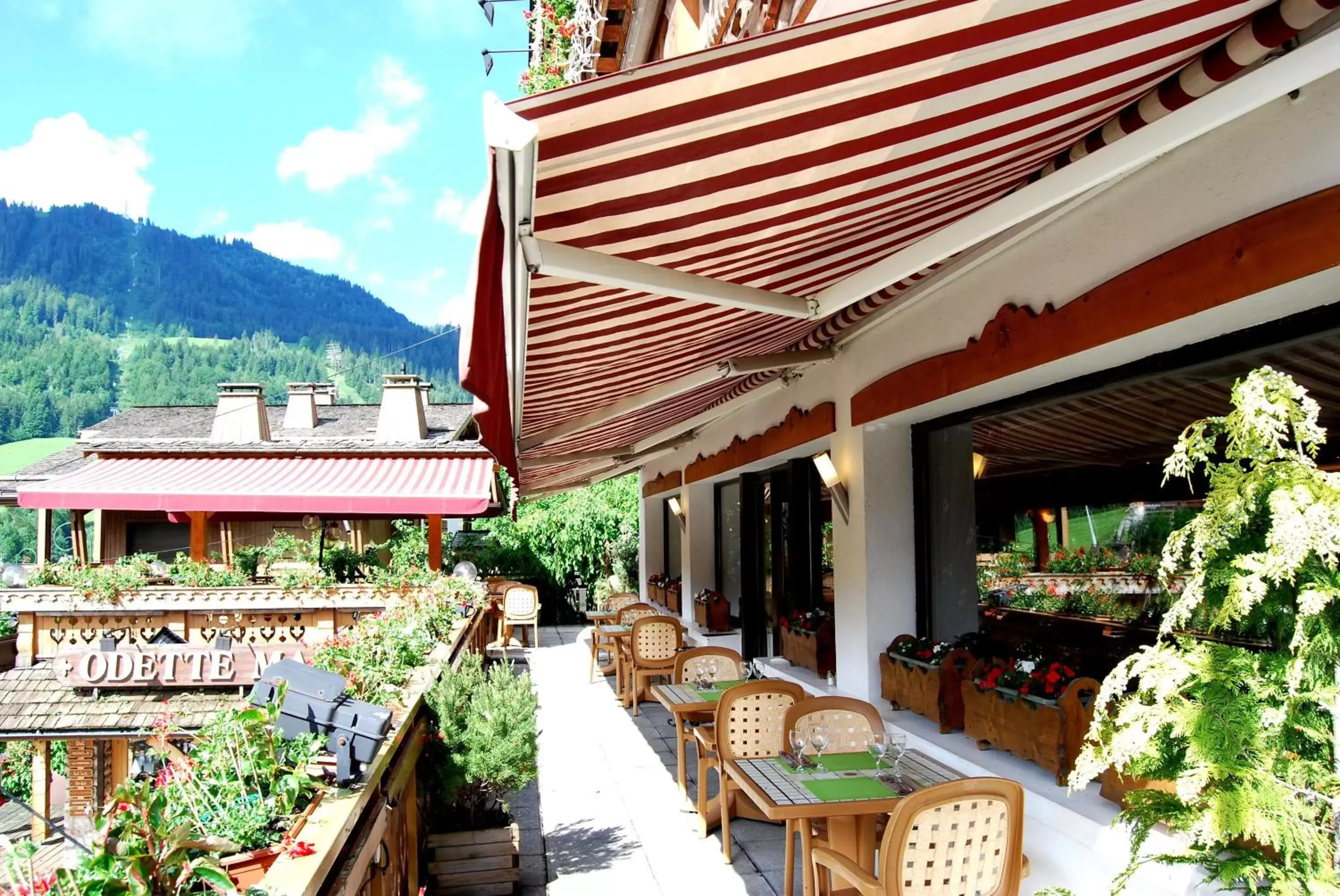 Balcony/Terrace in Hotel La Montagne