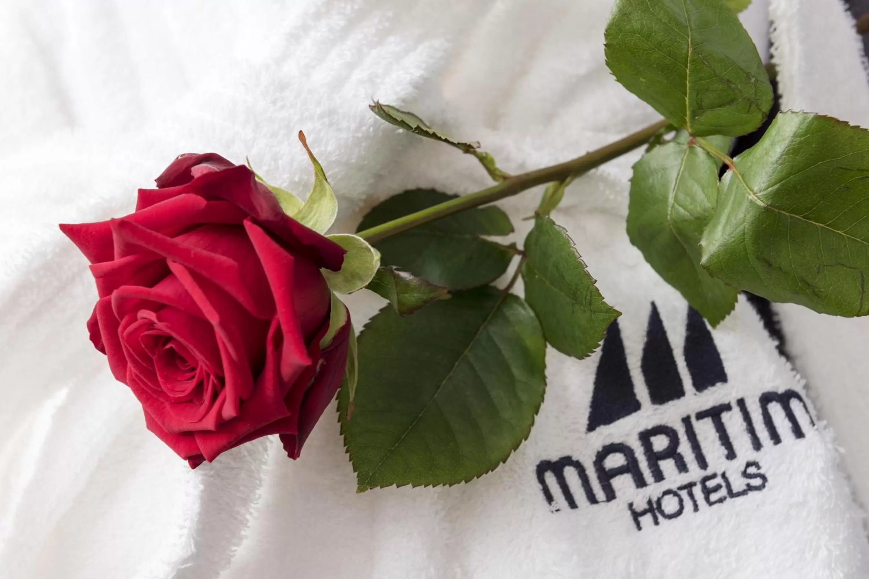 Classic Twin Room in Maritim Hotel Bad Homburg