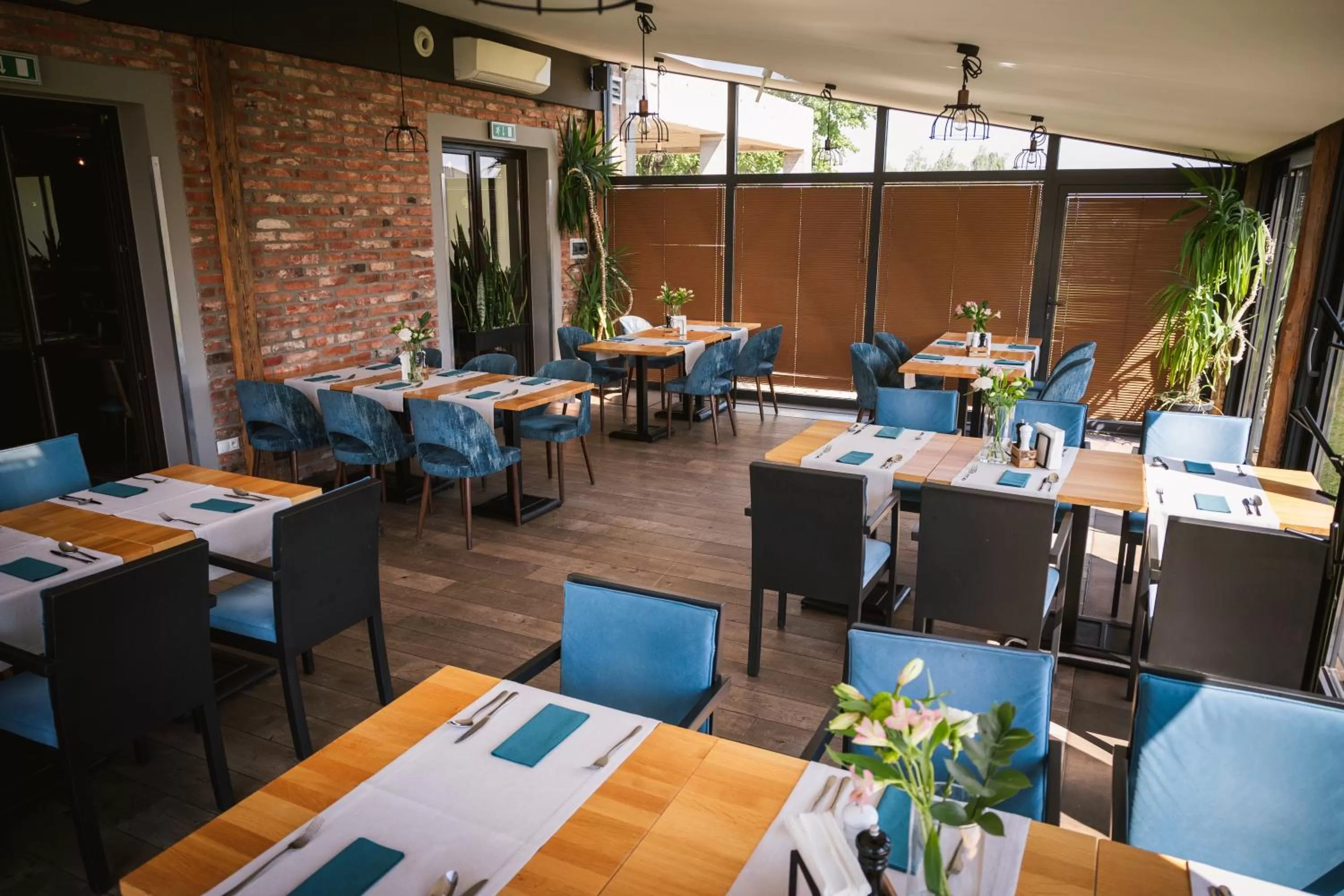 Restaurant/places to eat in Hotel Szary Residence