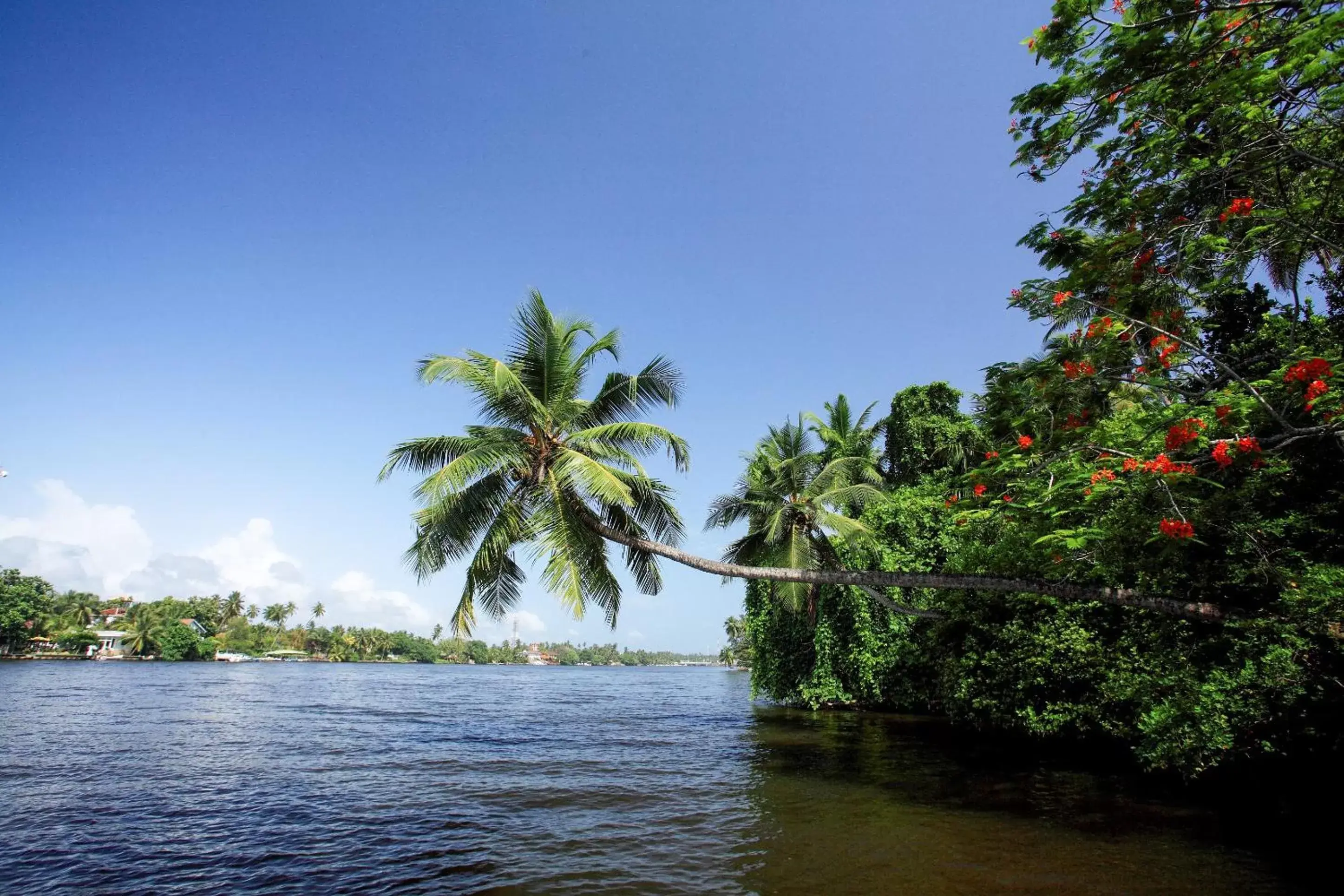 Nearby landmark, Natural Landscape in Centara Ceysands Resort & Spa Sri Lanka