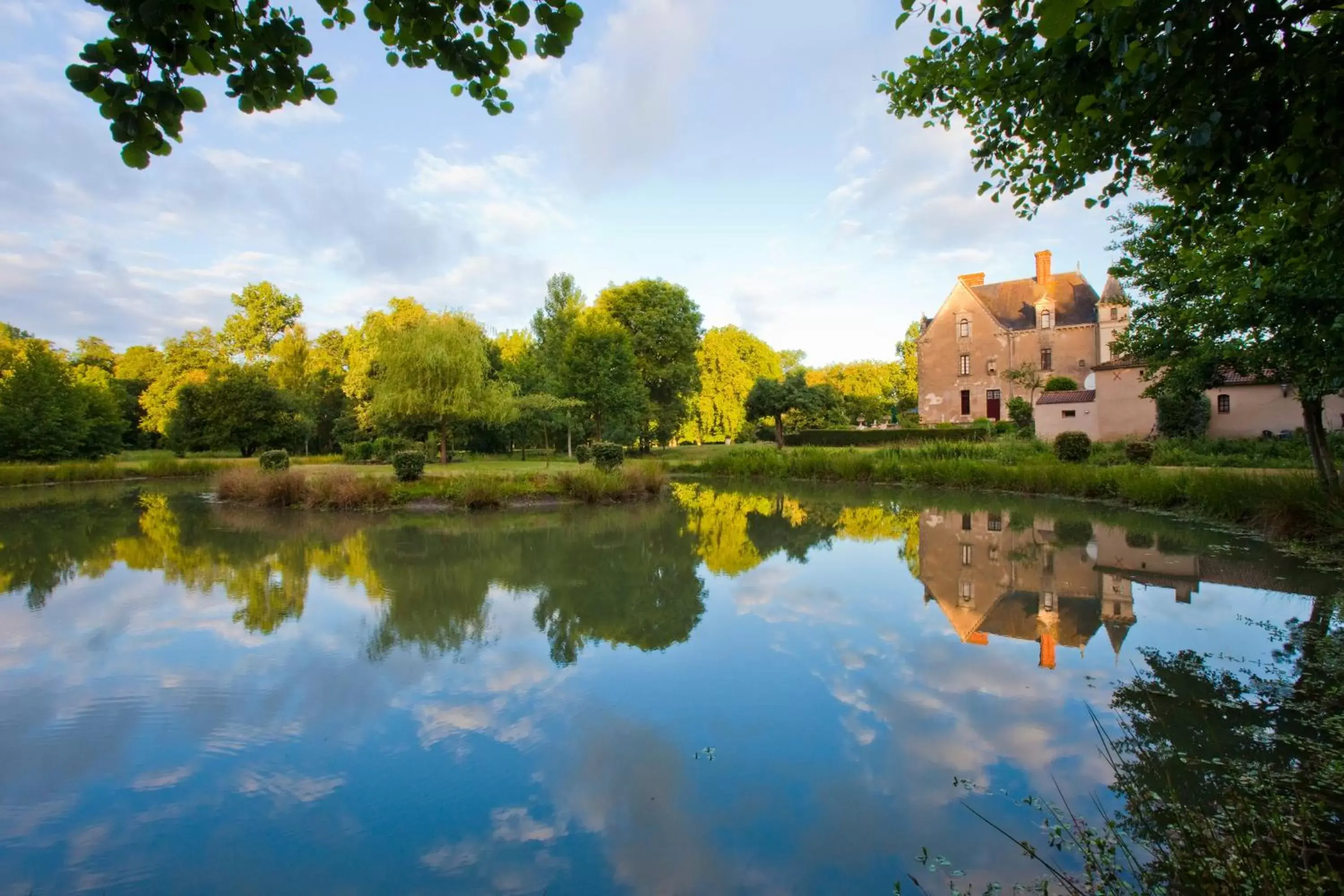 Natural landscape, Swimming Pool in Château de la Verie