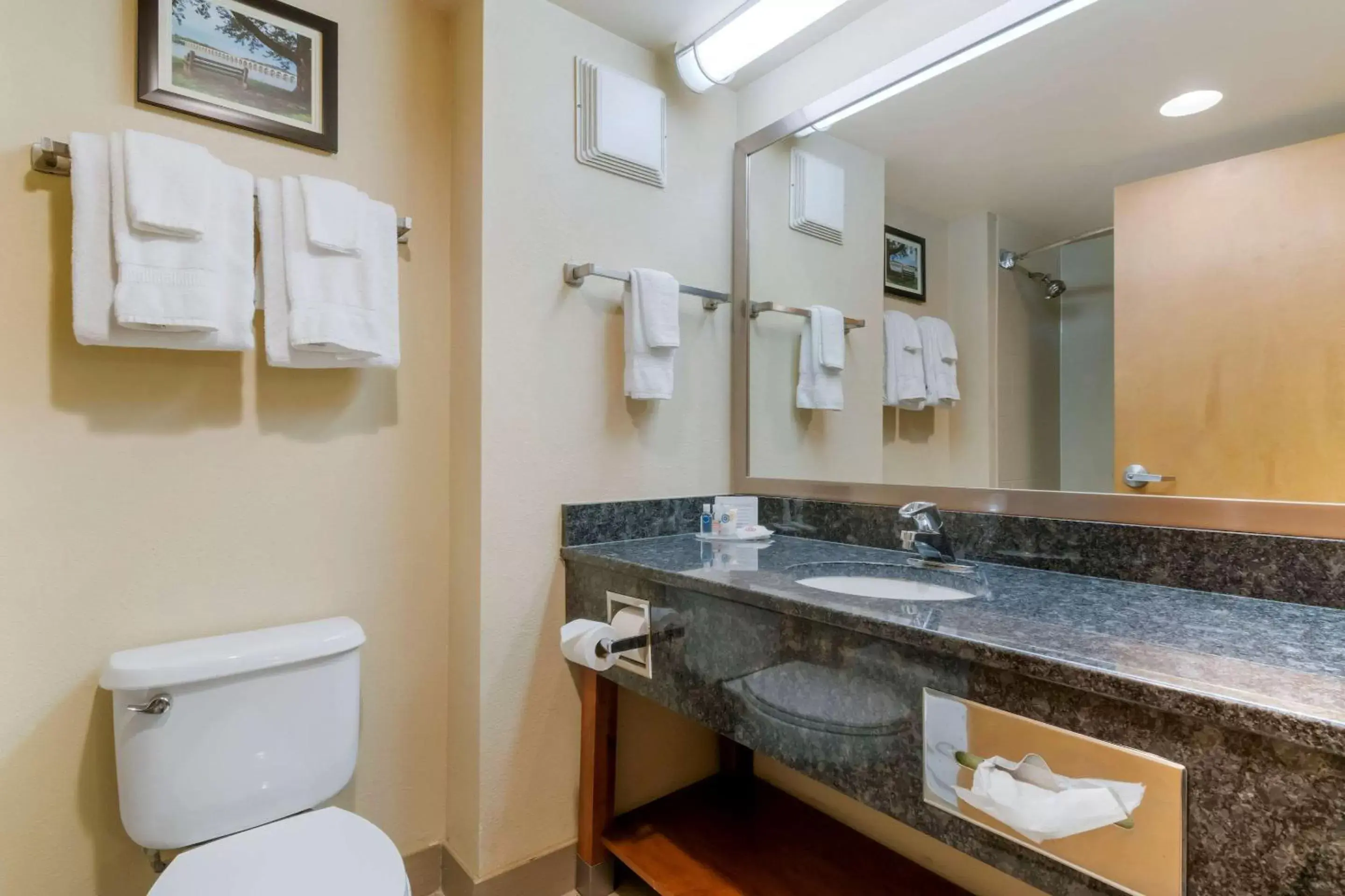 Bathroom in Comfort Inn Mechanicsburg – Harrisburg South