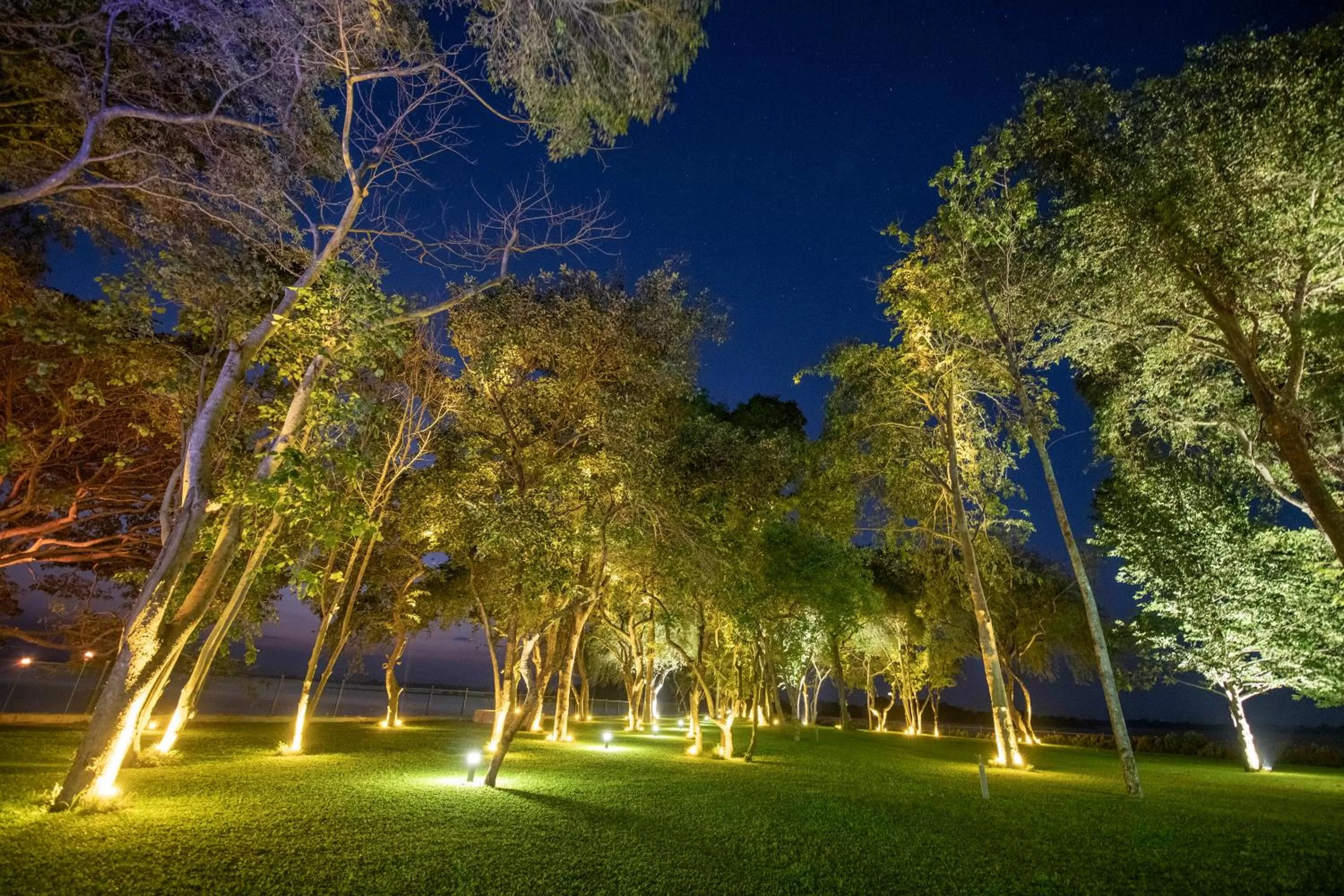 Garden in Hotel Sudu Araliya