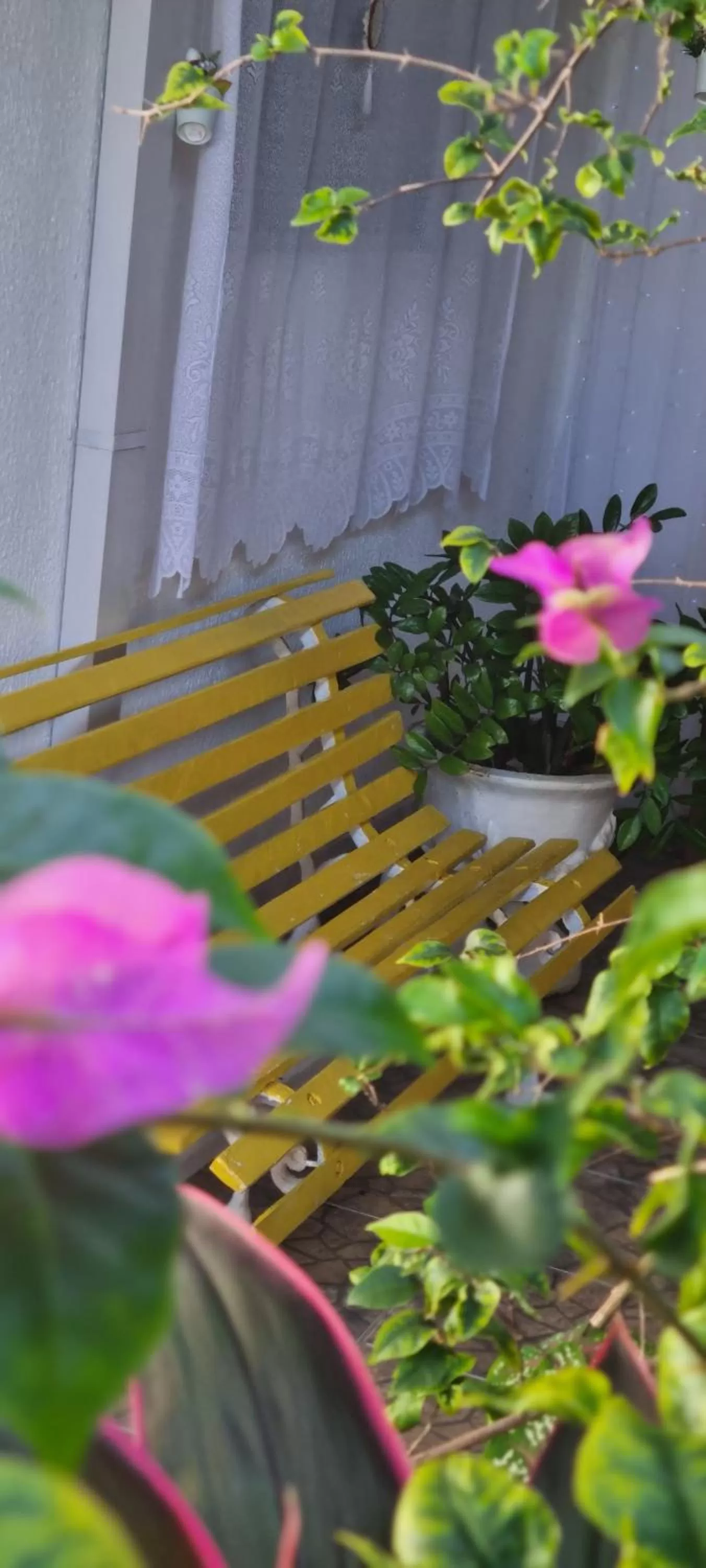 Garden view in Pousada Recanto da Família