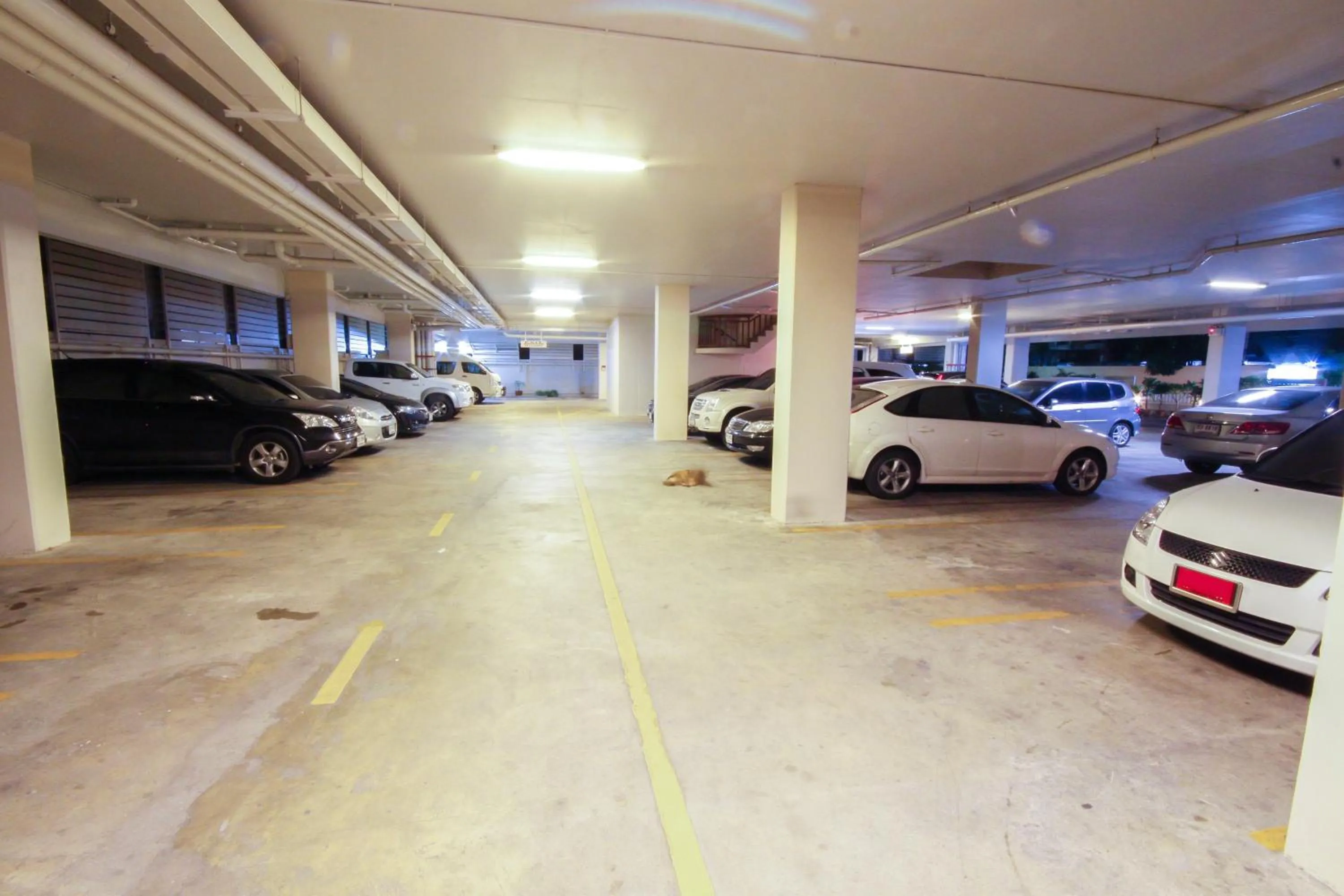 Other in K.V.Mansion