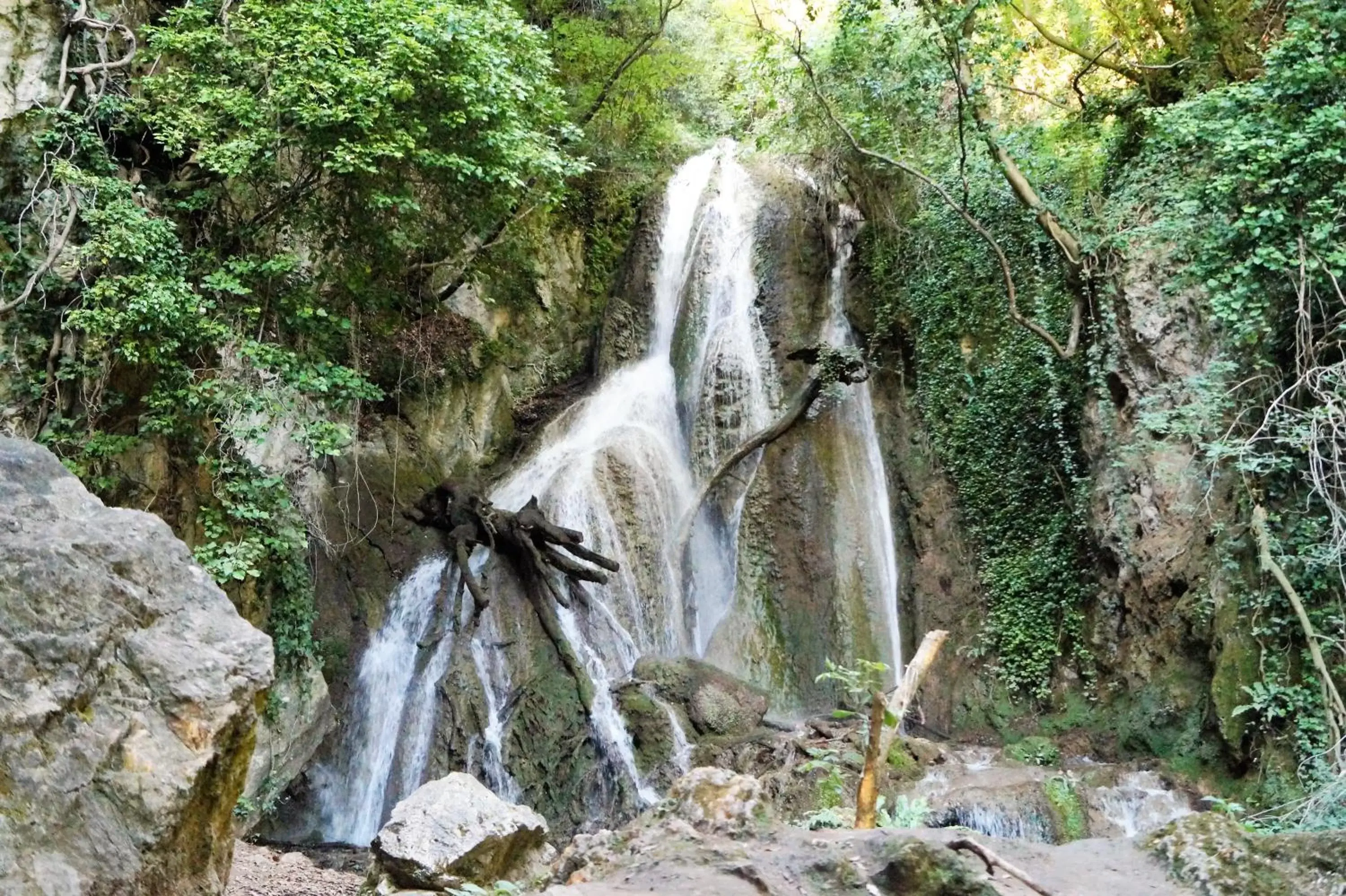 Activities, Natural Landscape in B&B Il Sentiero nel Bosco