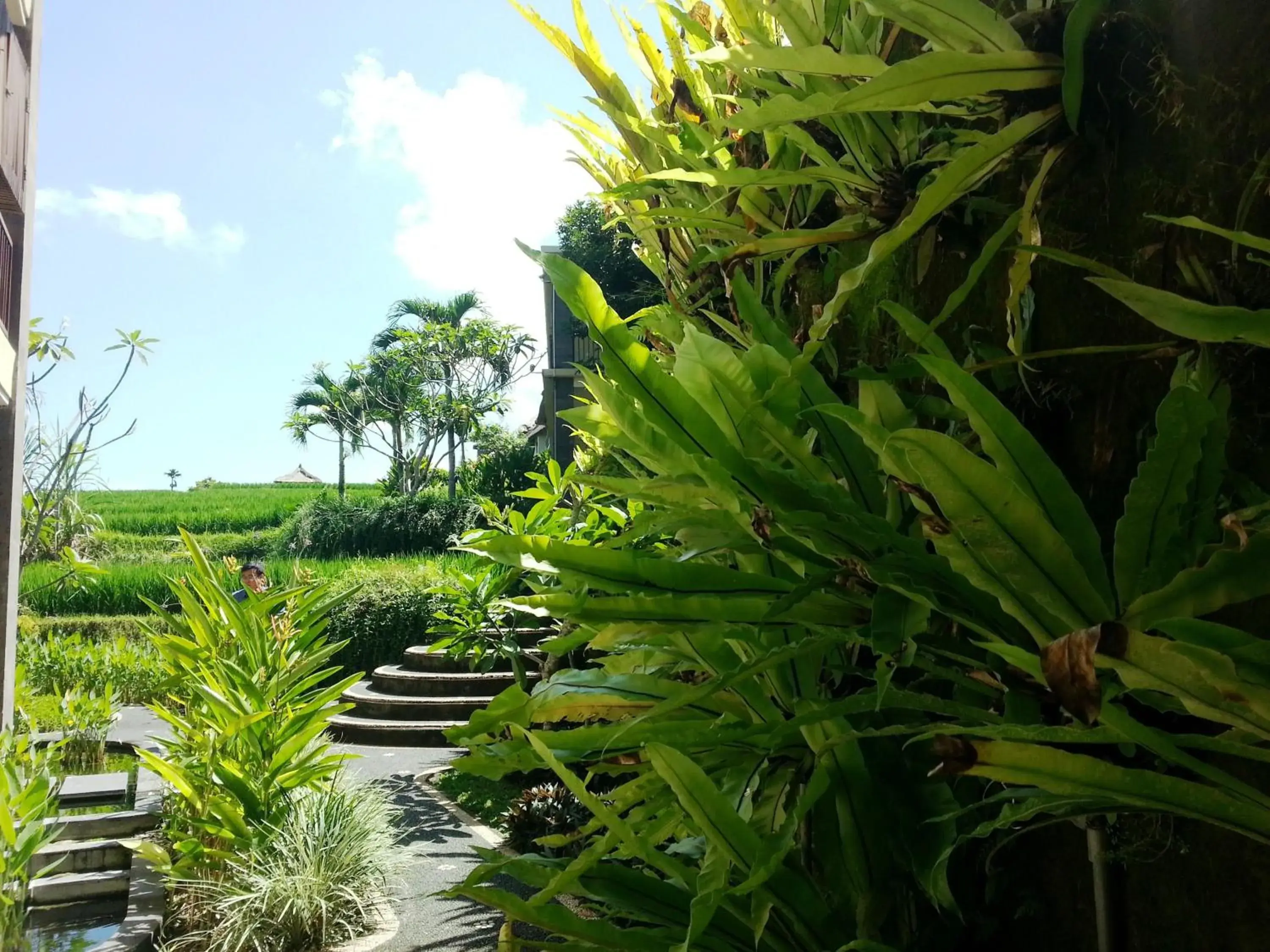 View (from property/room) in Biyukukung Suite & Spa View (from property/room) in Biyukukung Suite & Spa