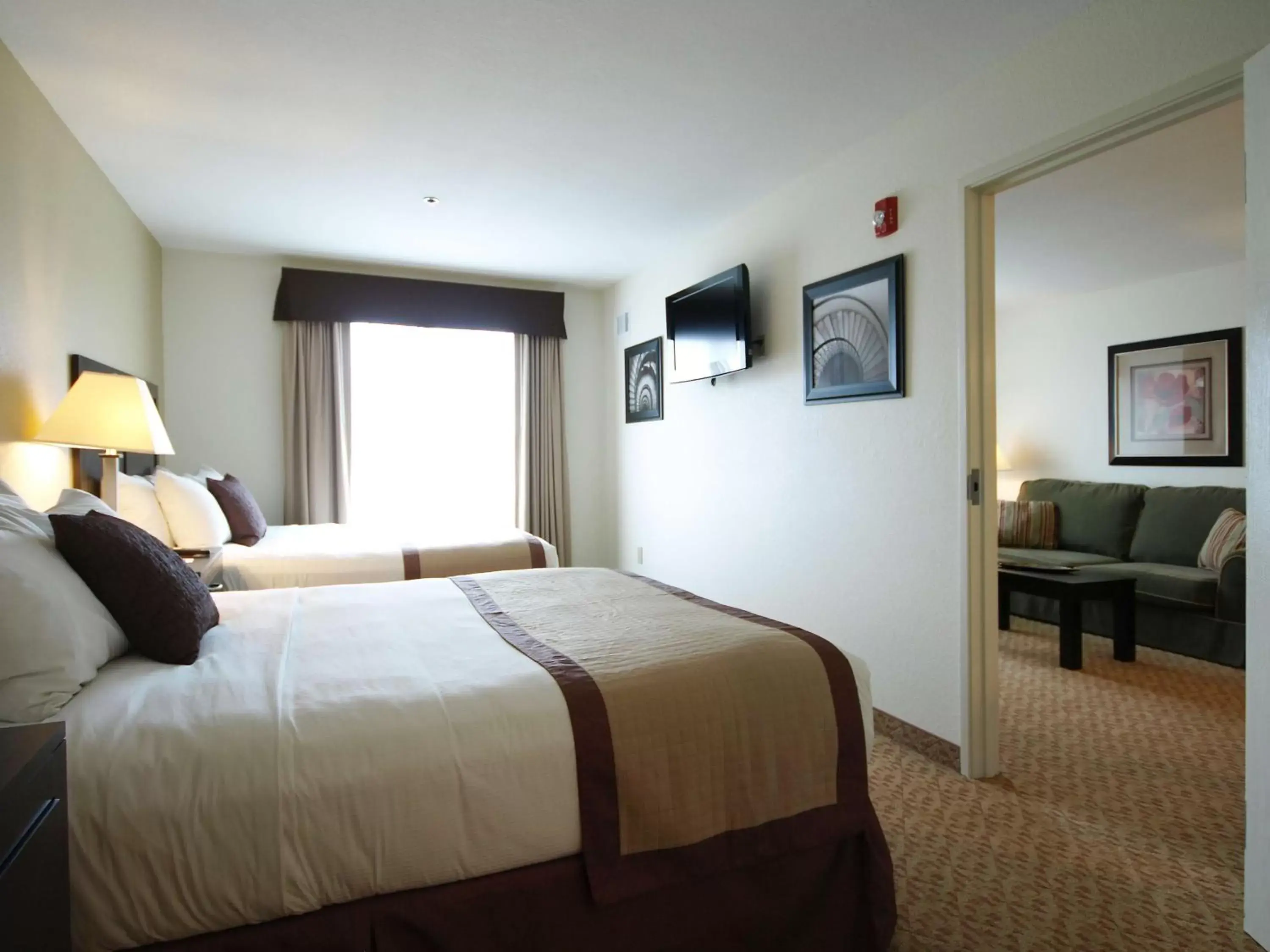 Photo of the whole room, Bed in Best Western Plus Valdosta Hotel & Suites